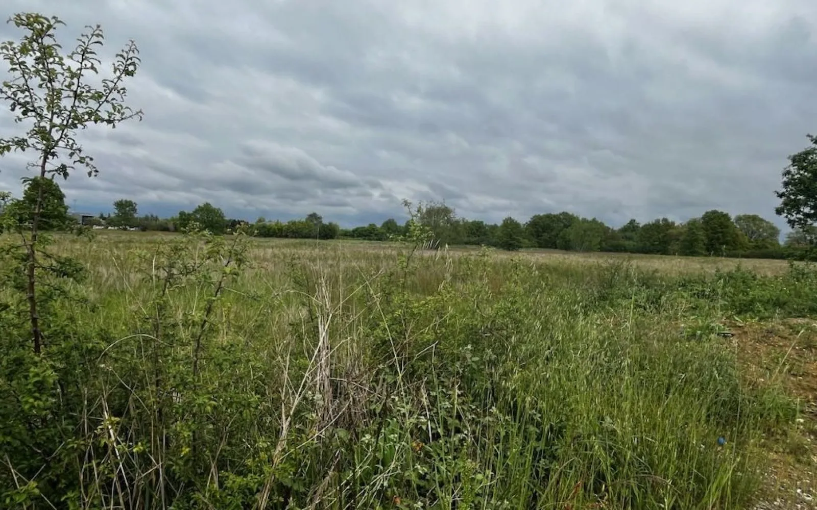 Projet de construction d'une maison 60 m² avec terrain à GARGAS (31) à Gargas — photo 9