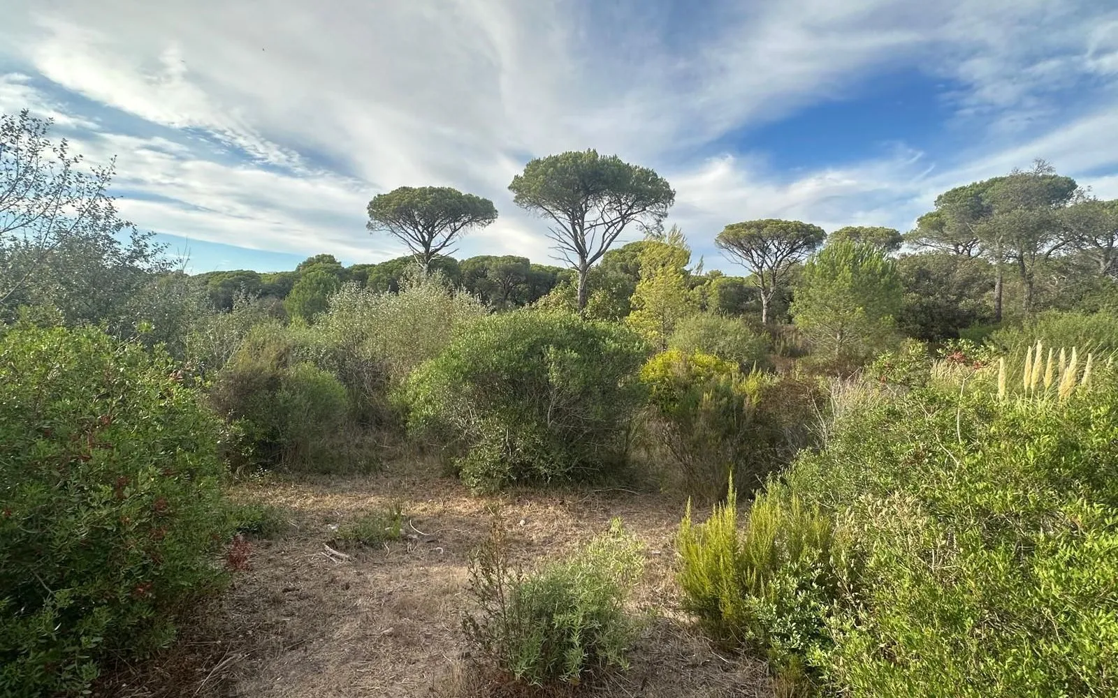 Projet de construction d'une maison 85 m² avec terrain à FREJUS (83) à Fréjus — photo 3