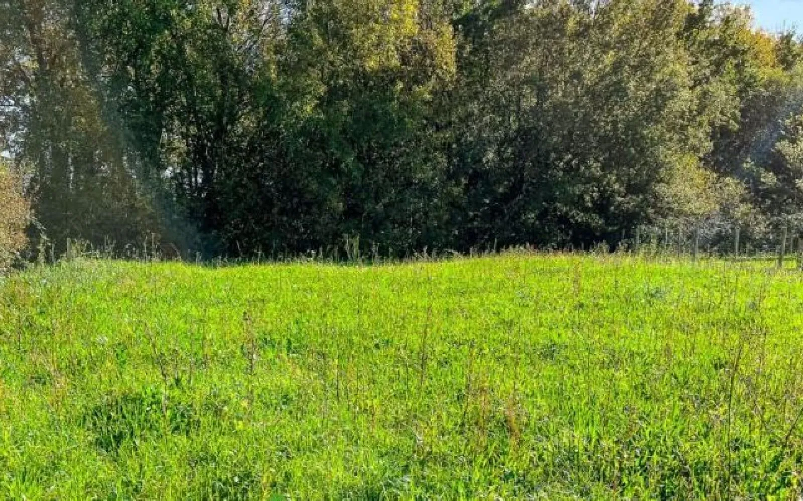 Terrain à bâtir de 500 m² à BOUAYE (44) à Bouaye — photo 1