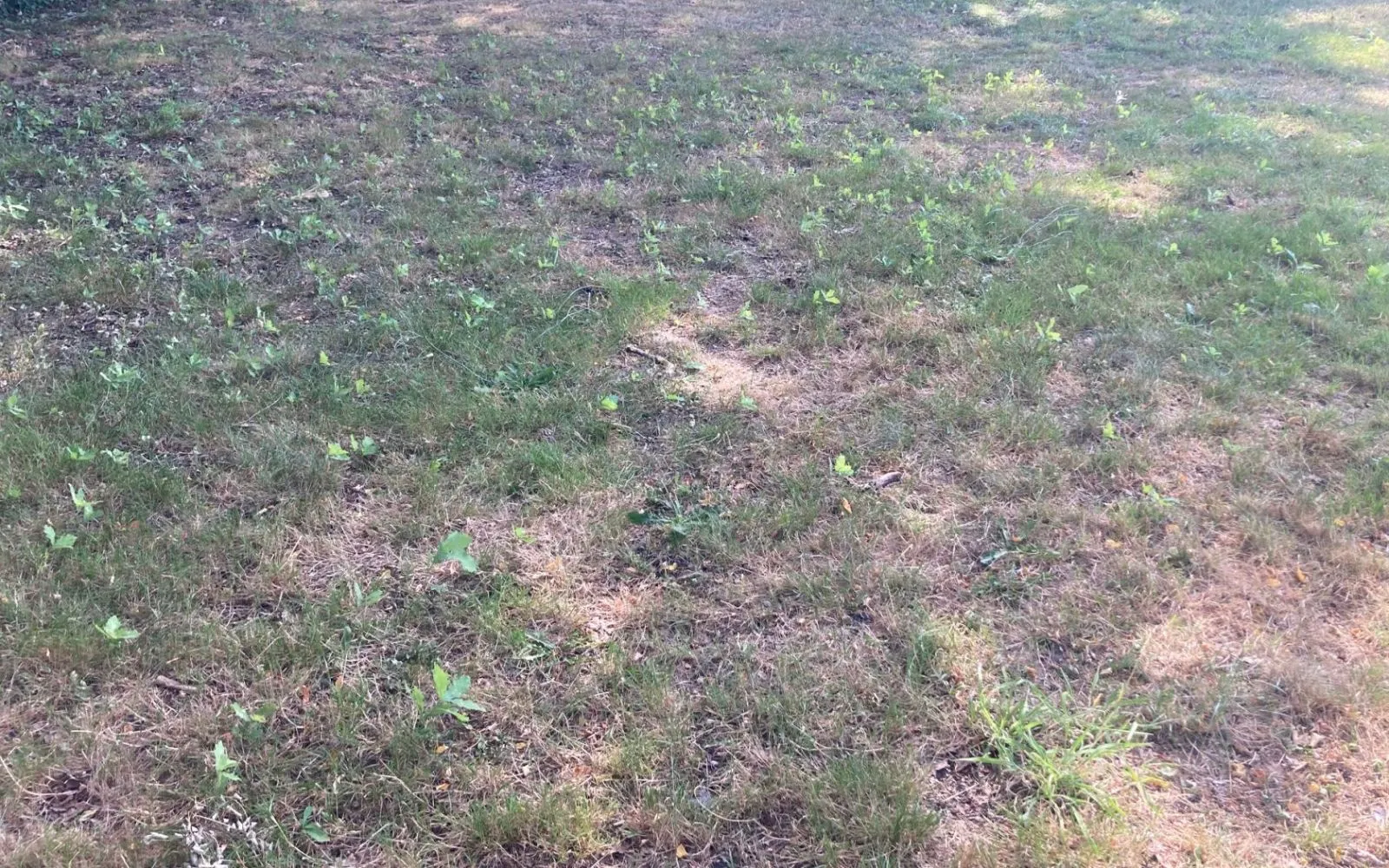 Terrain à bâtir de 1000 m² à SALLES (33) à Salles — photo 1