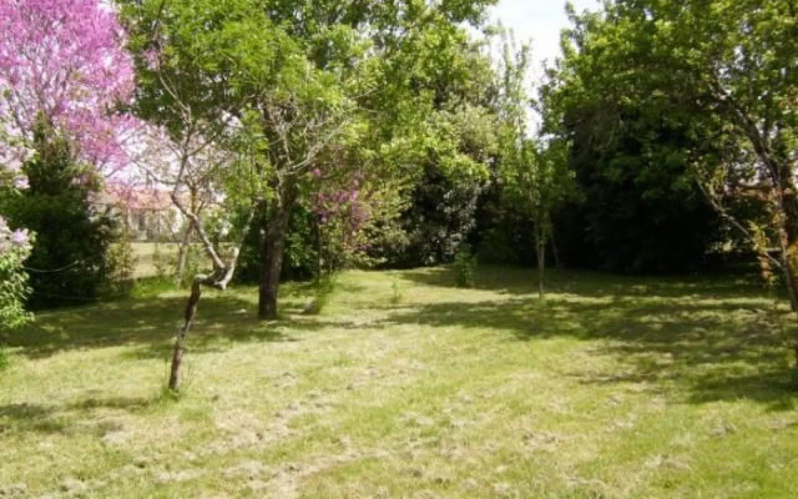 Terrain à bâtir de 260 m² à MORANGIS (51) à Morangis — photo 1