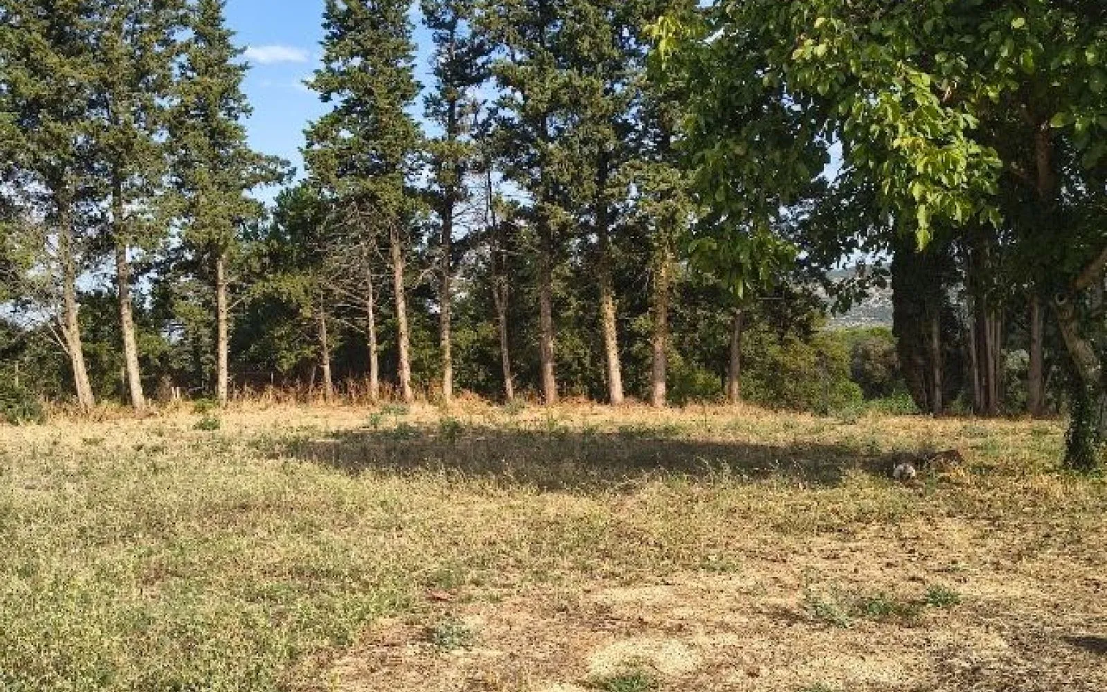 Terrain à bâtir de 1122 m² à AUBIGNAN (84) à Aubignan — photo 4