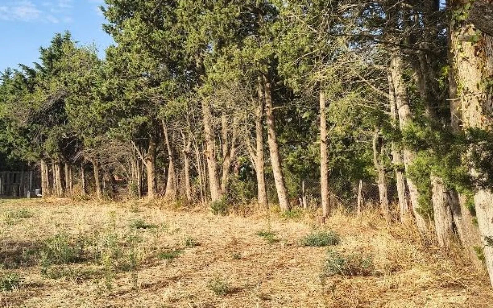 Terrain à bâtir de 1122 m² à AUBIGNAN (84) à Aubignan — photo 6