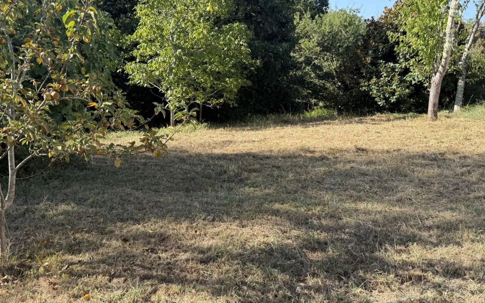 Projet de construction d'une maison 64.08 m² avec terrain à BAYONNE (64) à Bayonne — photo 6