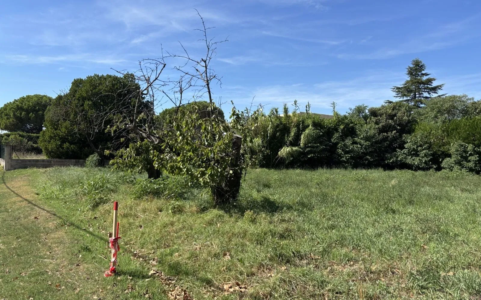 Maison 90 m² avec terrain à MALLEMORT (13) à Mallemort — photo 5