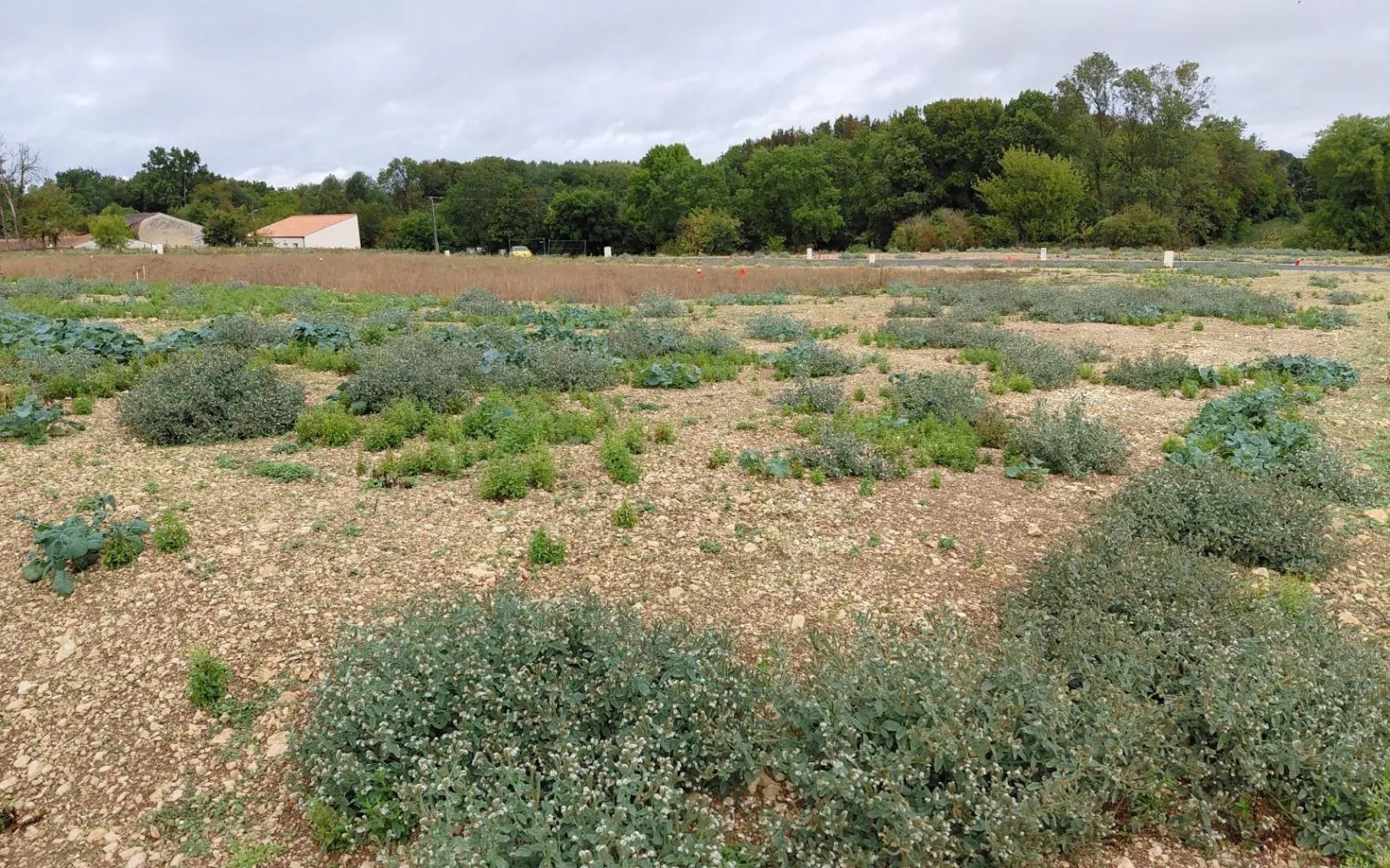 Terrain à bâtir de 416 m² à TONNAY-BOUTONNE (17) à Tonnay-Boutonne — photo 1