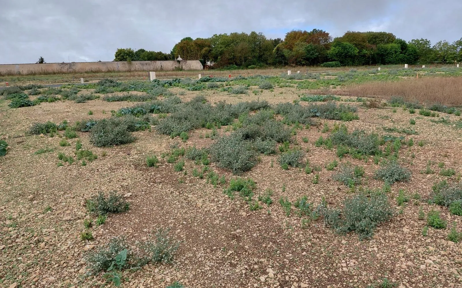 Terrain à bâtir de 416 m² à TONNAY-BOUTONNE (17) à Tonnay-Boutonne — photo 2
