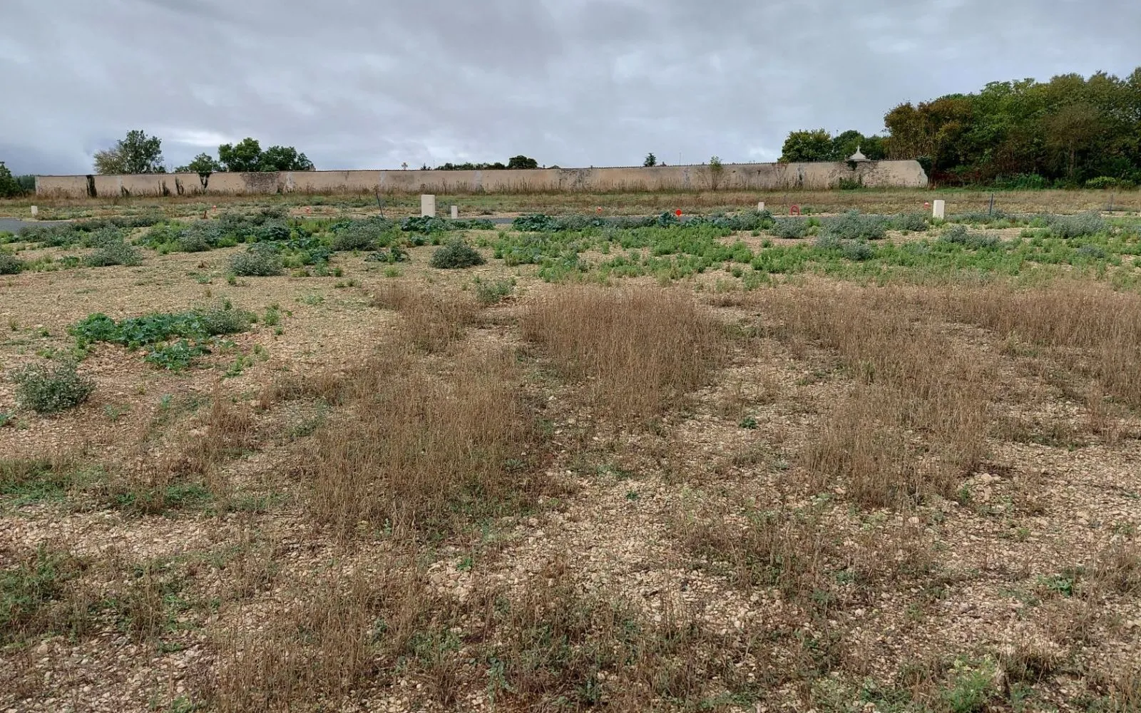 Terrain à bâtir de 416 m² à TONNAY-BOUTONNE (17) à Tonnay-Boutonne — photo 3