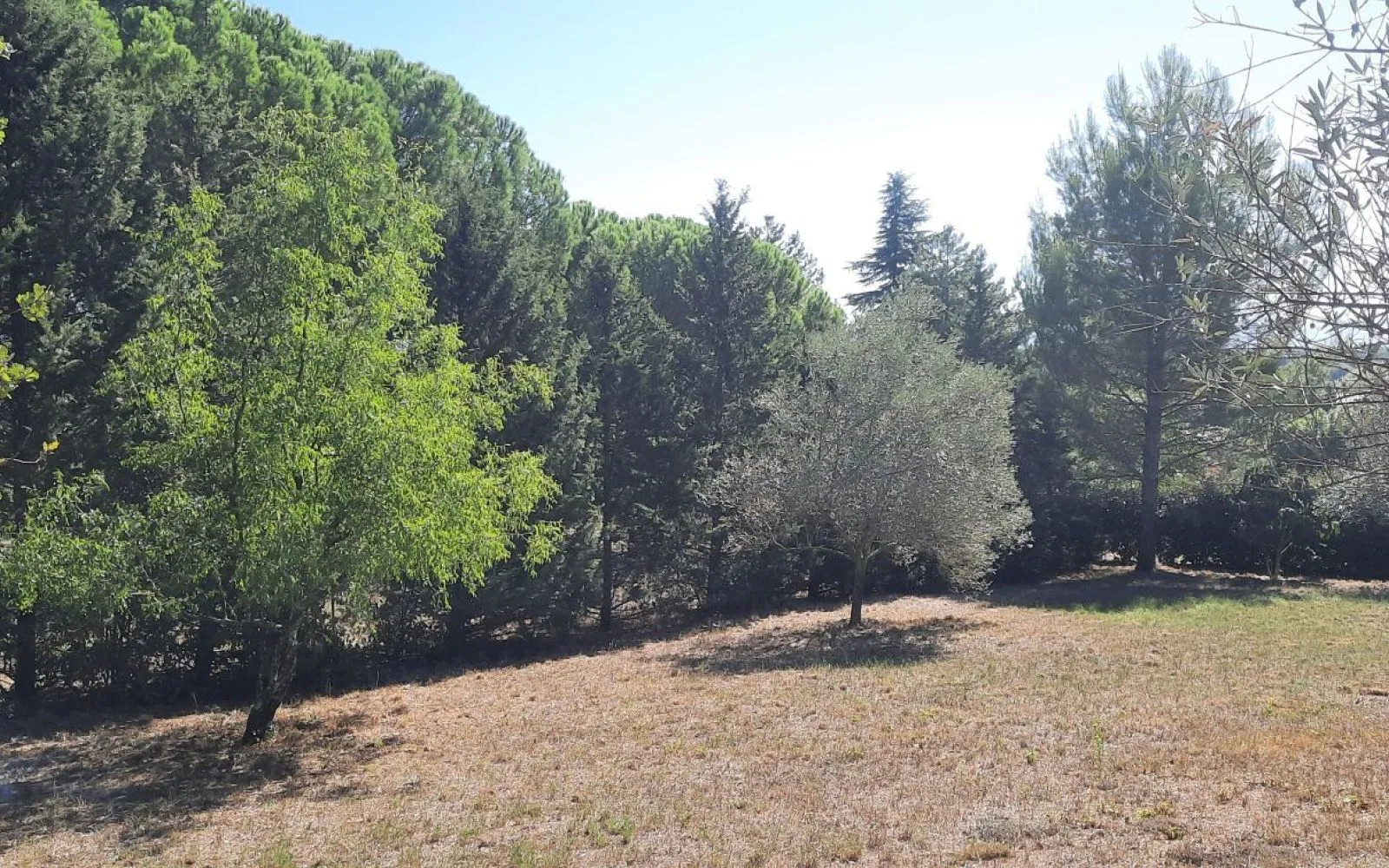 Terrain à bâtir de 1200 m² à SARRIANS (84) à Sarrians — photo 1