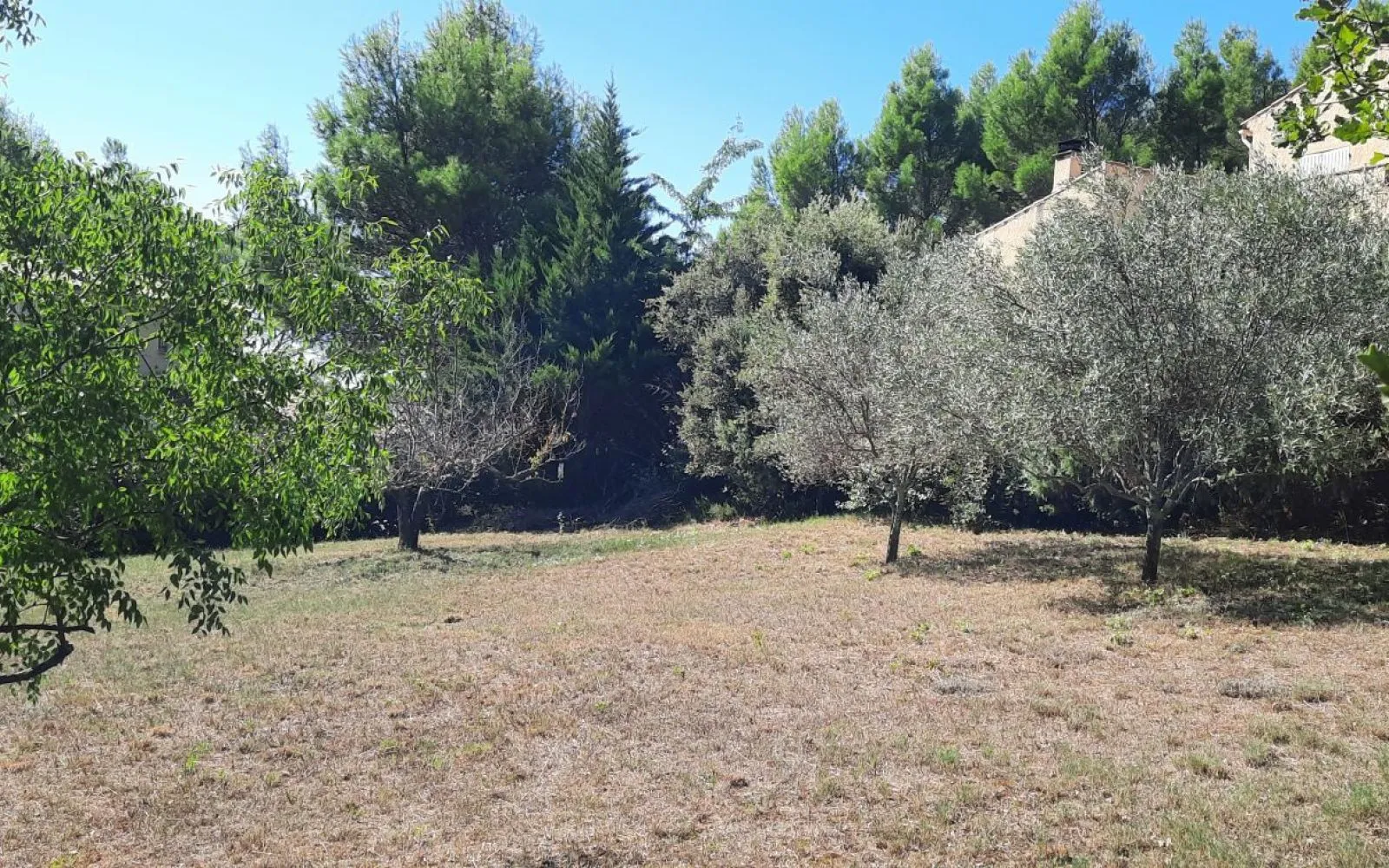 Terrain à bâtir de 1200 m² à SARRIANS (84) à Sarrians — photo 2