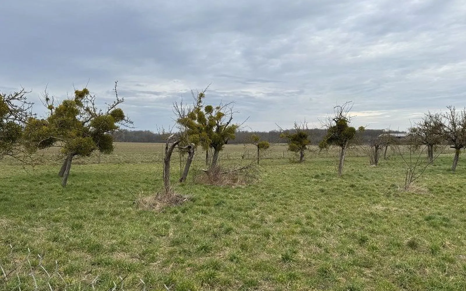 Projet de construction d'une maison 70 m² avec terrain à BU (28) à Bû — photo 2