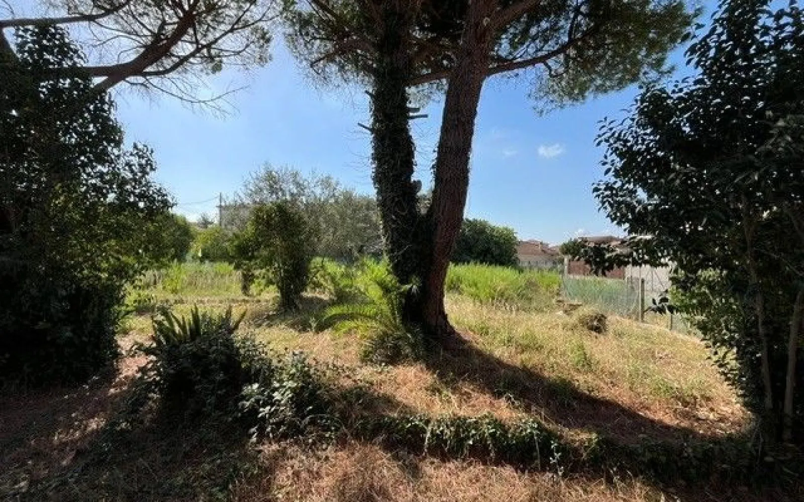 Terrain à bâtir de 300 m² à LA ROQUETTE-SUR-SIAGNE (06) à La Roquette-sur-Siagne — photo 5