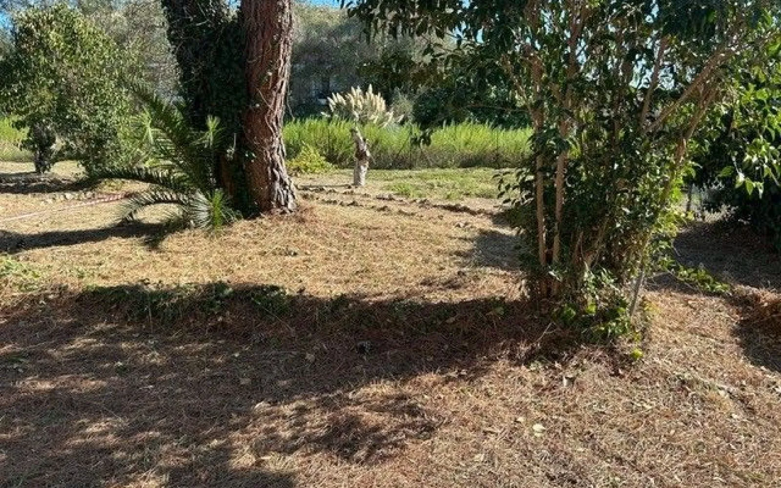 Terrain à bâtir de 300 m² à LA ROQUETTE-SUR-SIAGNE (06) à La Roquette-sur-Siagne — photo 14