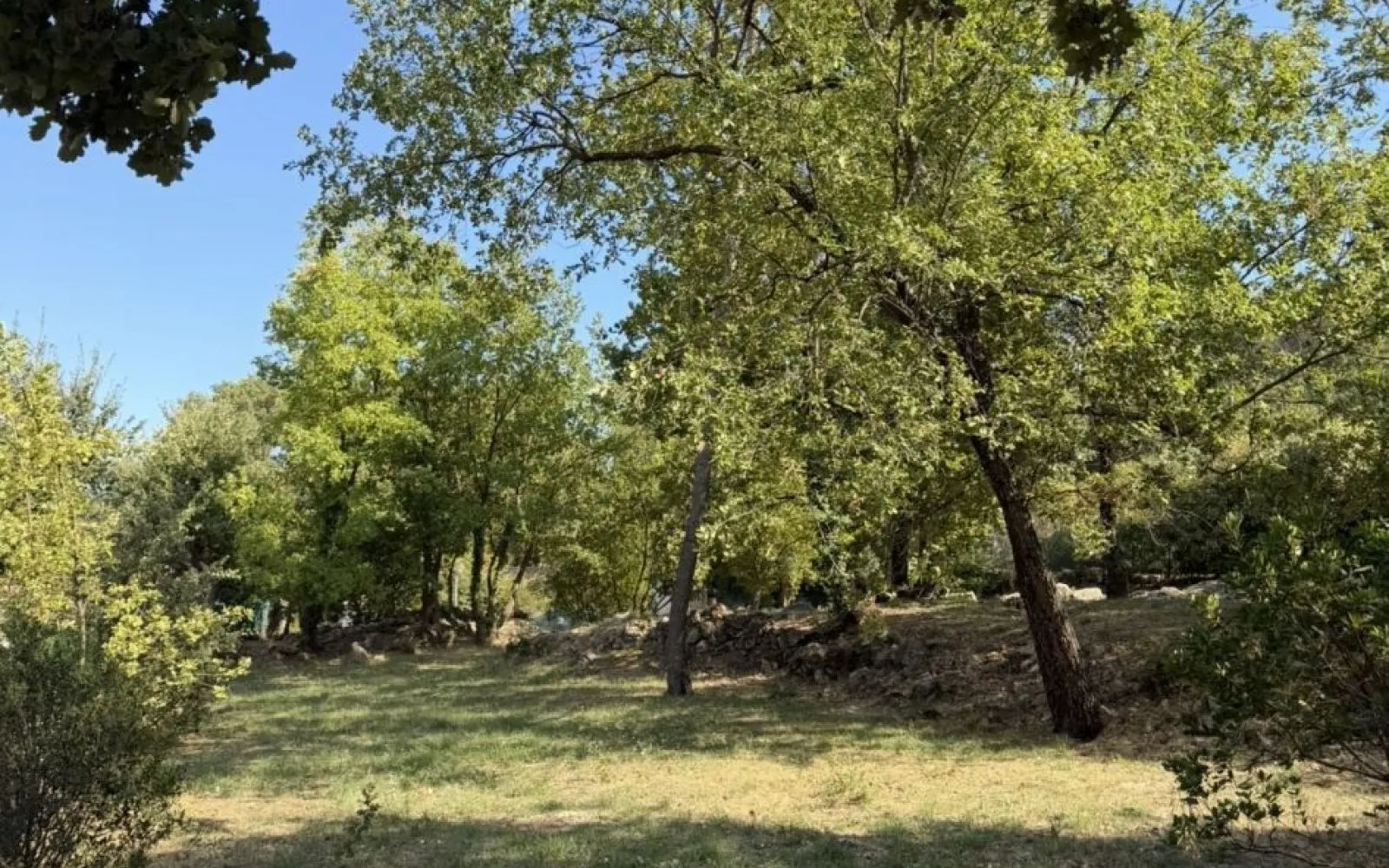 Projet de construction d'une maison 105 m² avec terrain à LA CELLE (83) à La Celle — photo 2