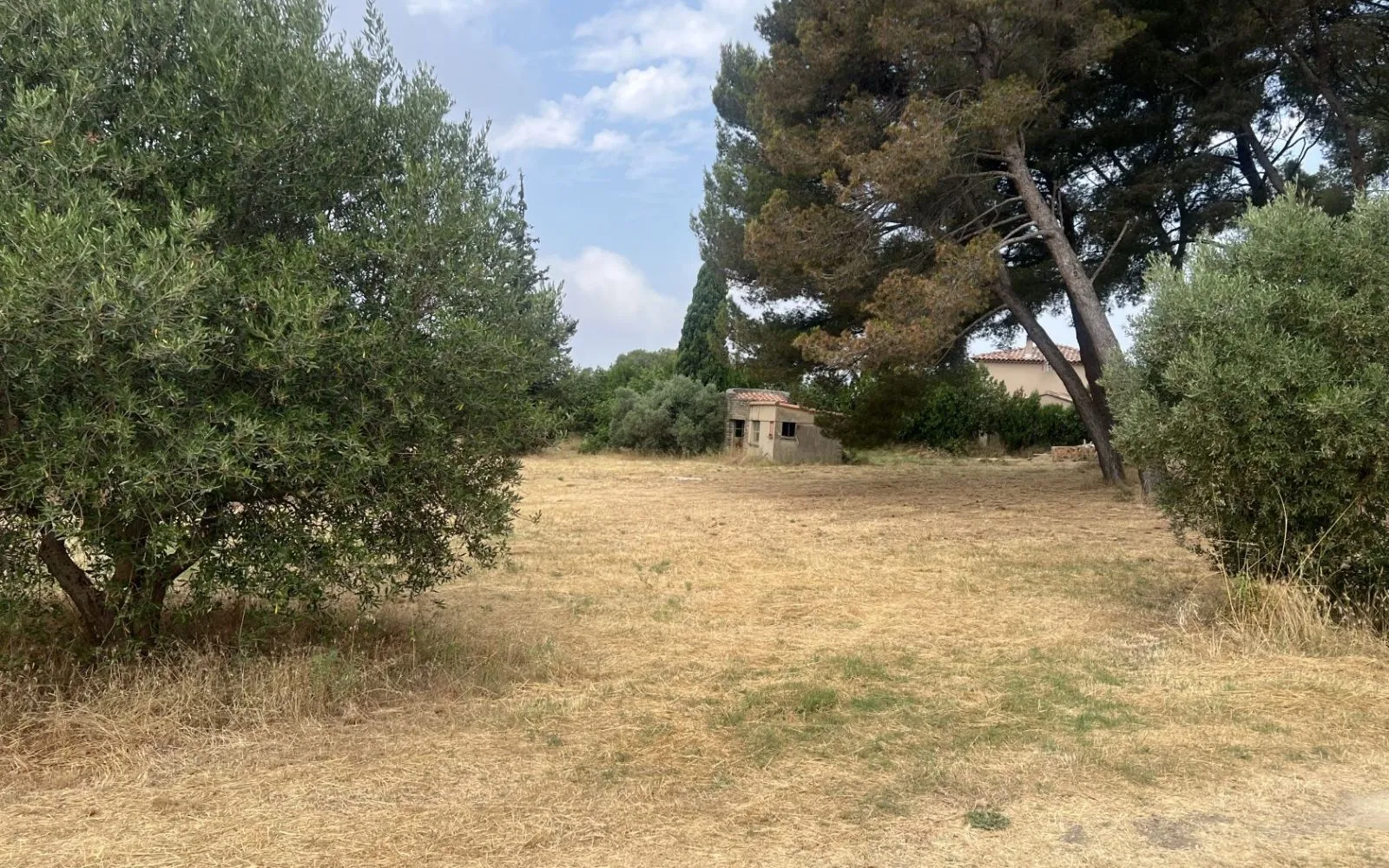 Maison 95 m² avec terrain à SAINT-CHAMAS (13) à Saint-Chamas — photo 9