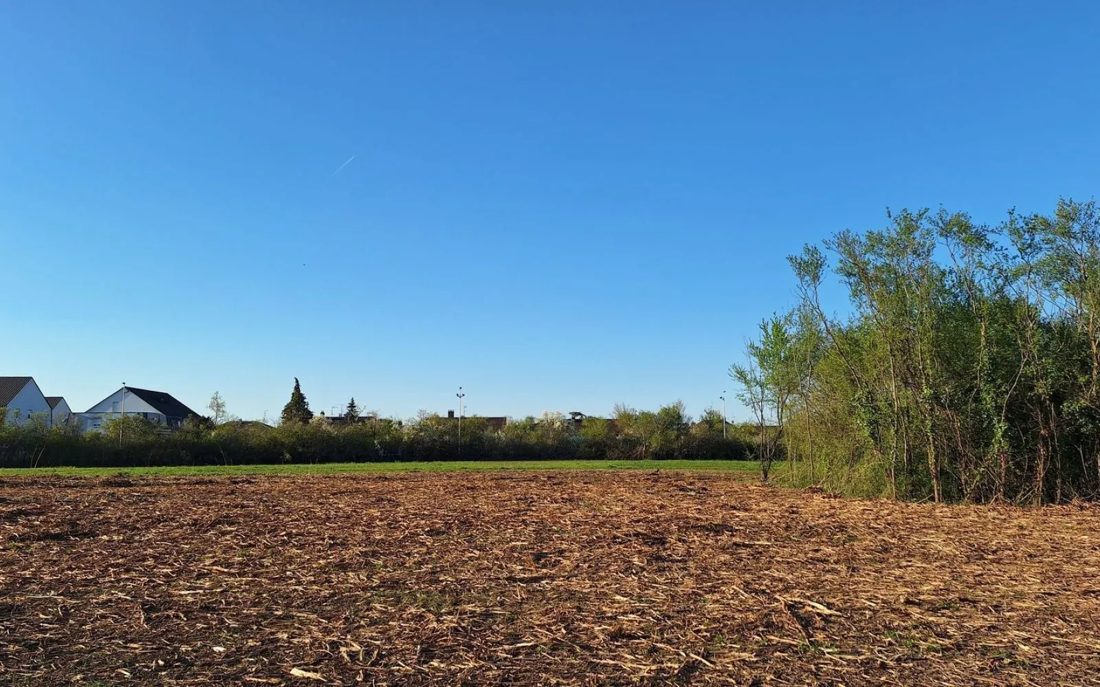 Maison 81 m² avec terrain à KINGERSHEIM (68) à Kingersheim — photo 4
