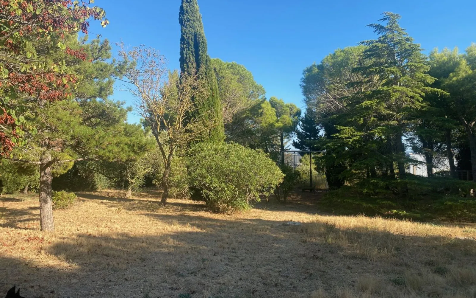 Terrain à bâtir de 1700 m² à NARBONNE (11) à Narbonne — photo 1