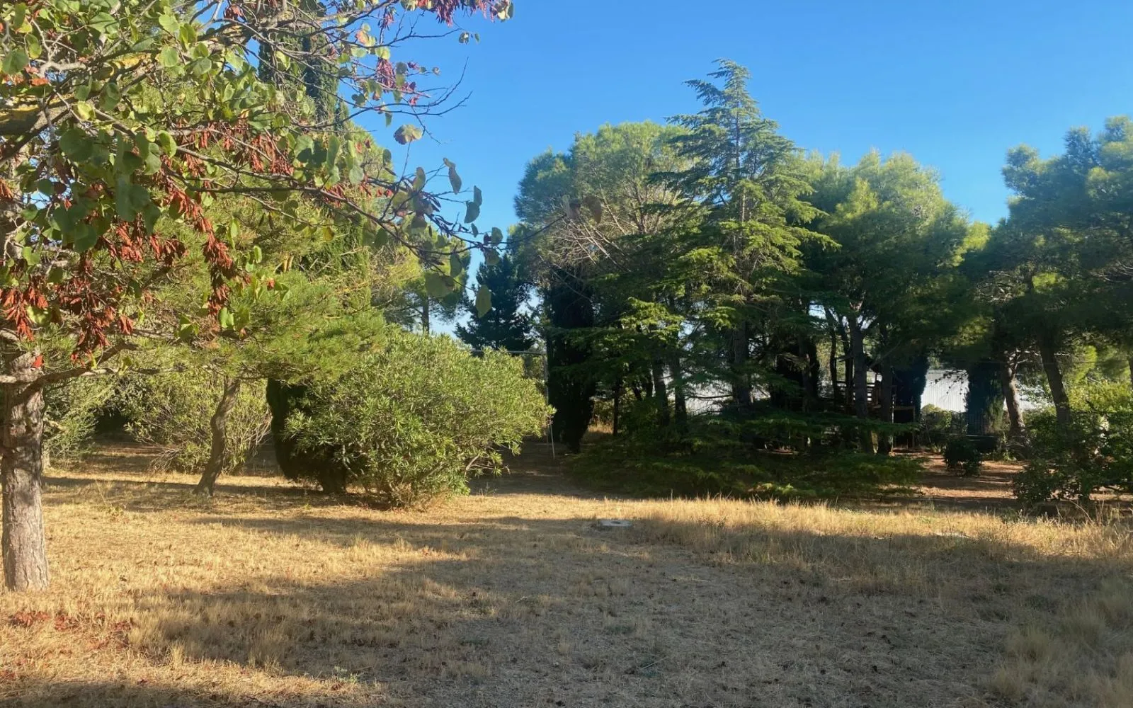 Terrain à bâtir de 1700 m² à NARBONNE (11) à Narbonne — photo 2