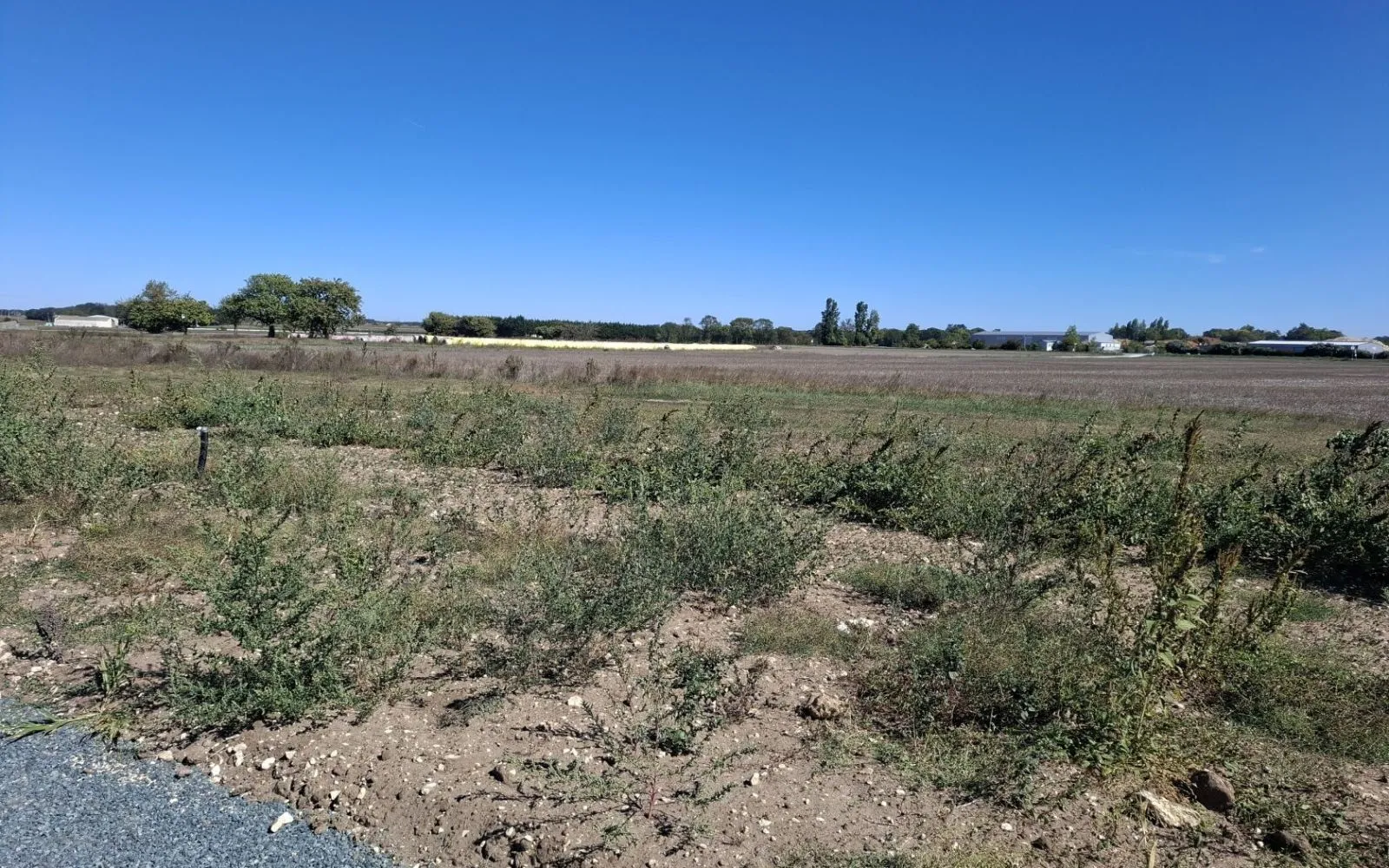 Projet de construction d'une maison 89.98 m² avec terrain à NIEULLE-SUR-SEUDRE (17) à Nieulle-sur-Seudre — photo 5