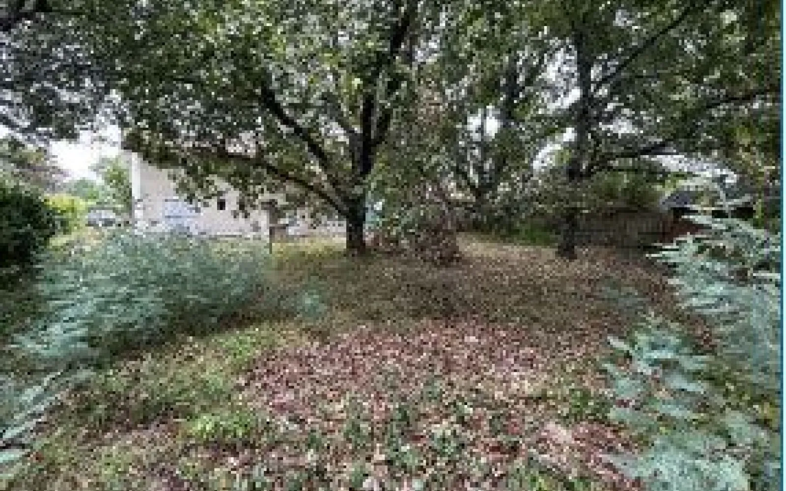 Projet de construction d'une maison 90 m² avec terrain à ANDERNOS-LES-BAINS (33) à Andernos-les-Bains — photo 5