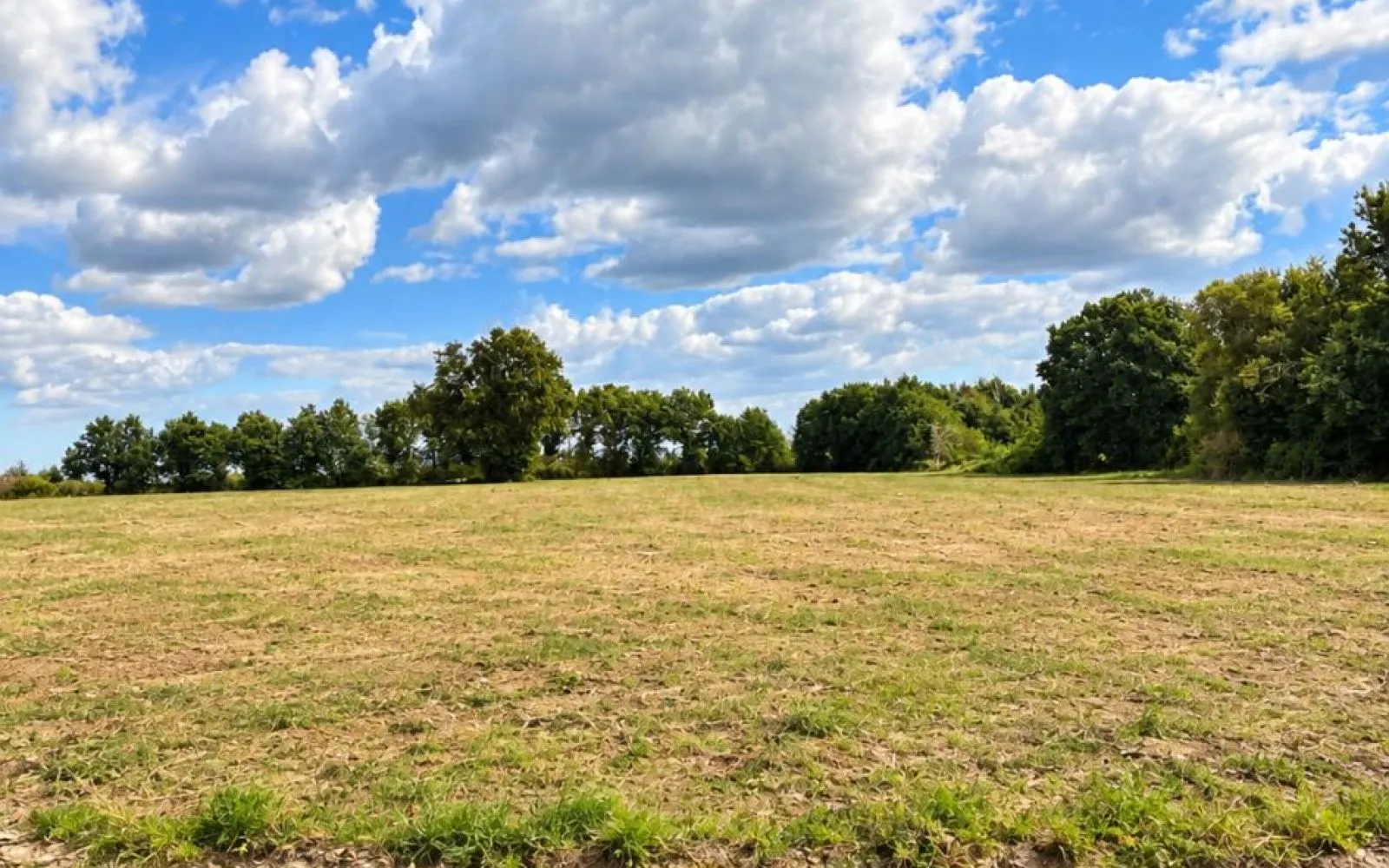 Terrain à bâtir de 383 m² à JOUE-SUR-ERDRE (44) à Joué-sur-Erdre — photo 1