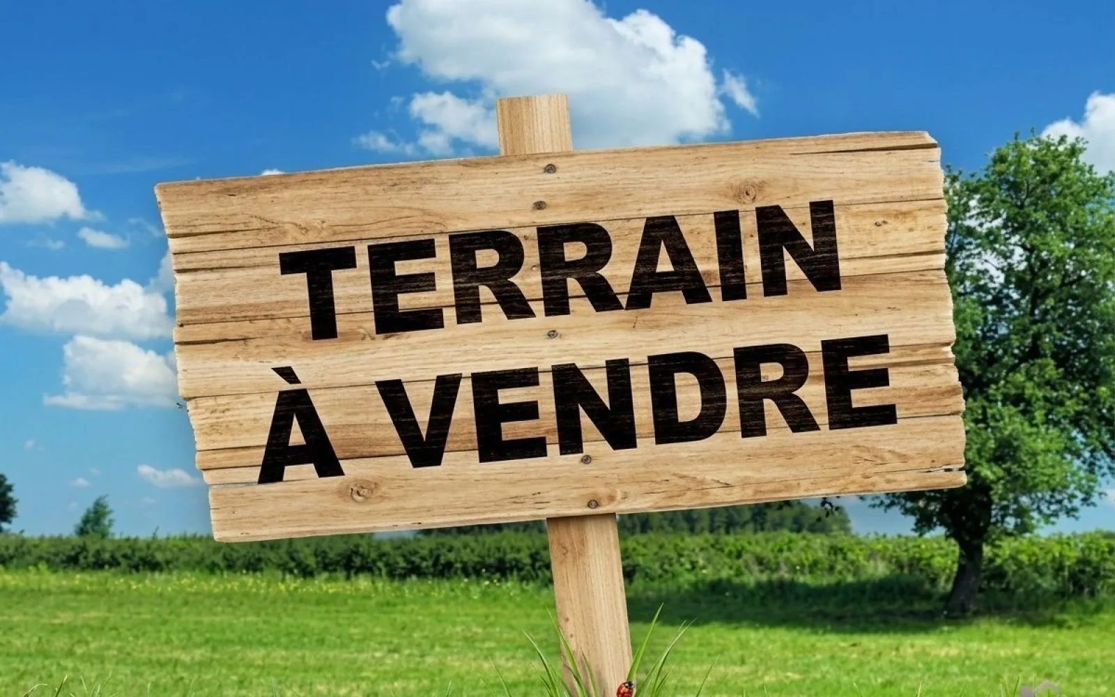 Projet de construction d'une maison 80 m² avec terrain à LES ESSARDS (17) à Essards — photo 2