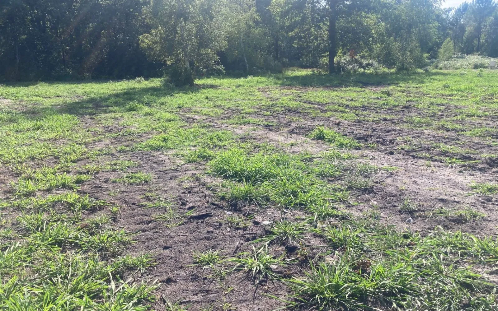 Terrain à bâtir de 830 m² à SALLES (33) à Salles — photo 1