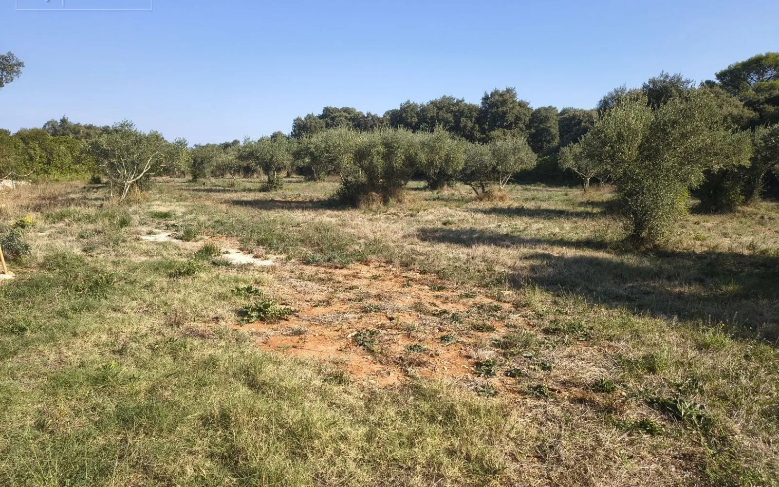 Projet de construction d'une maison 142 m² avec terrain à SAINT-SIFFRET (30) à Saint-Siffret — photo 4