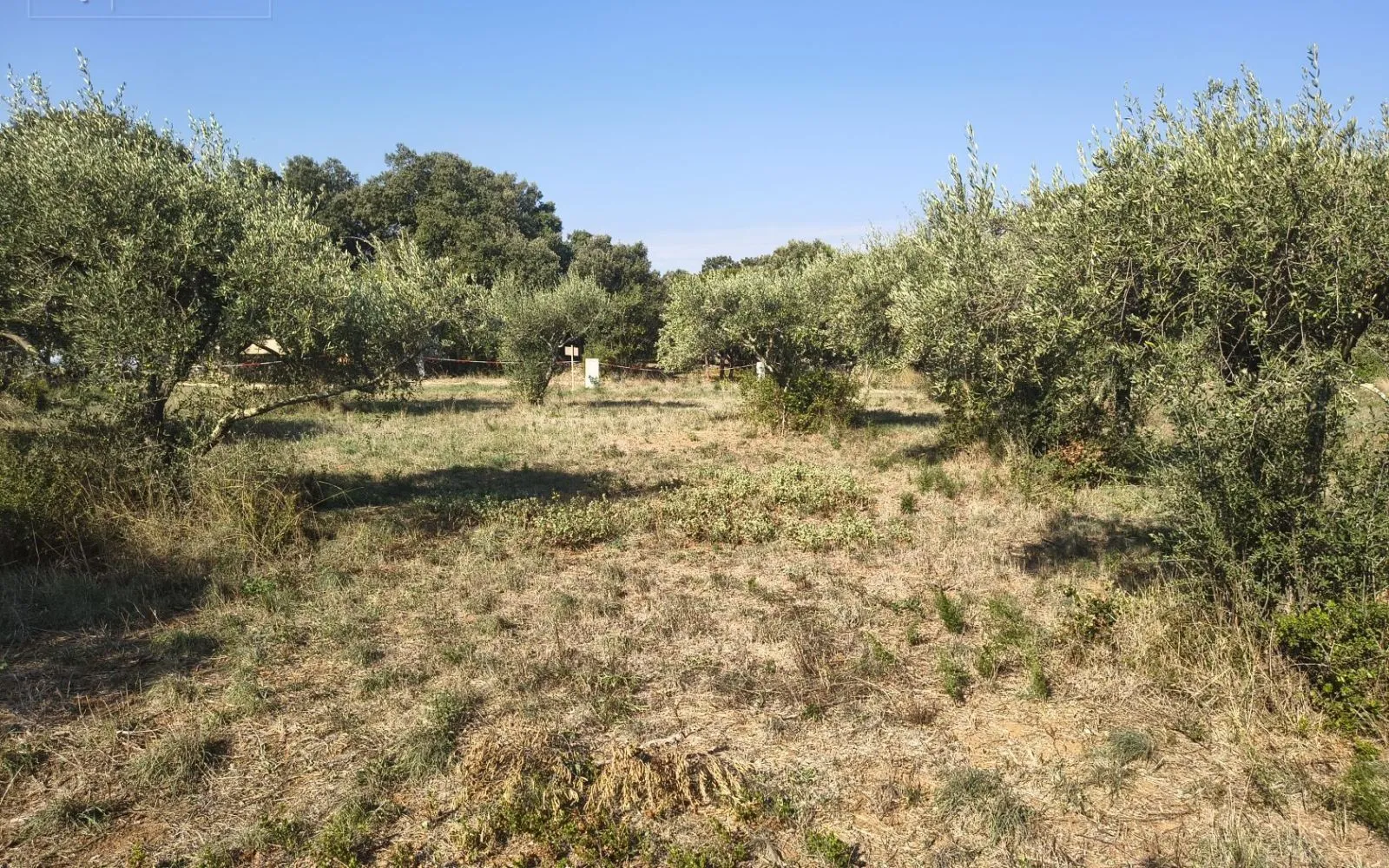 Projet de construction d'une maison 142 m² avec terrain à SAINT-SIFFRET (30) à Saint-Siffret — photo 5