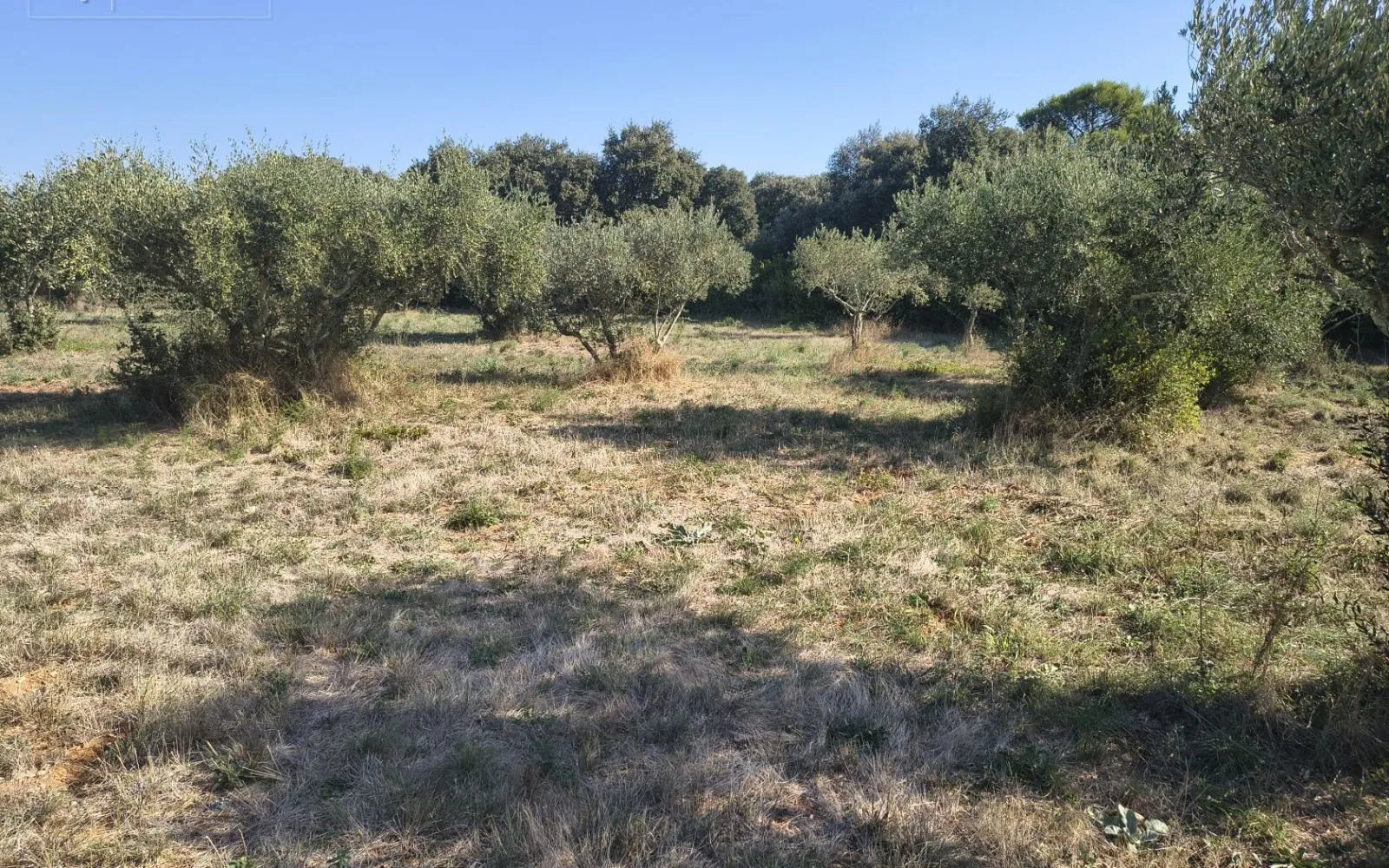 Projet de construction d'une maison 142 m² avec terrain à SAINT-SIFFRET (30) à Saint-Siffret — photo 6