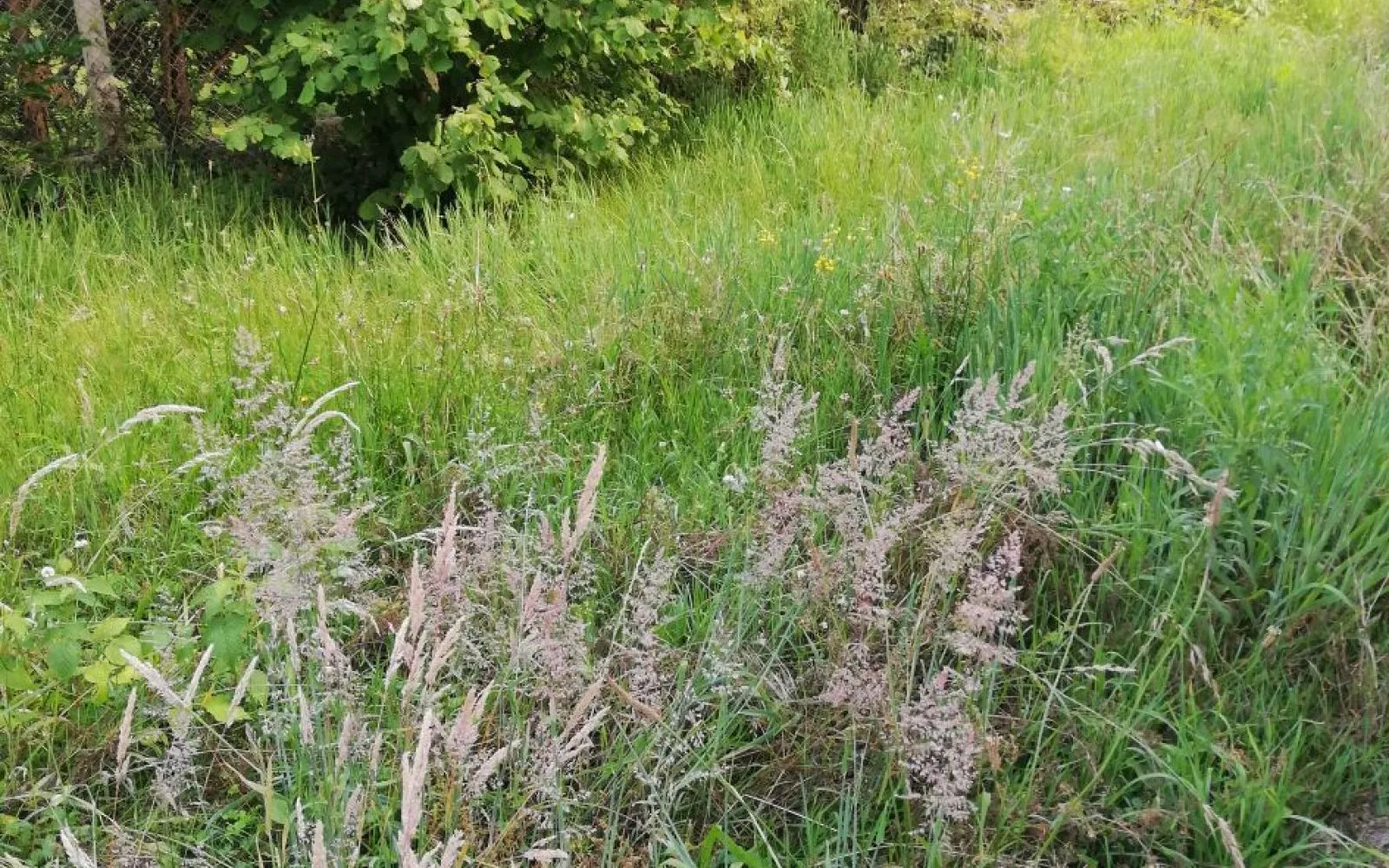 Terrain à bâtir de 590 m² à BORDEAUX (33) à Bordeaux — photo 1