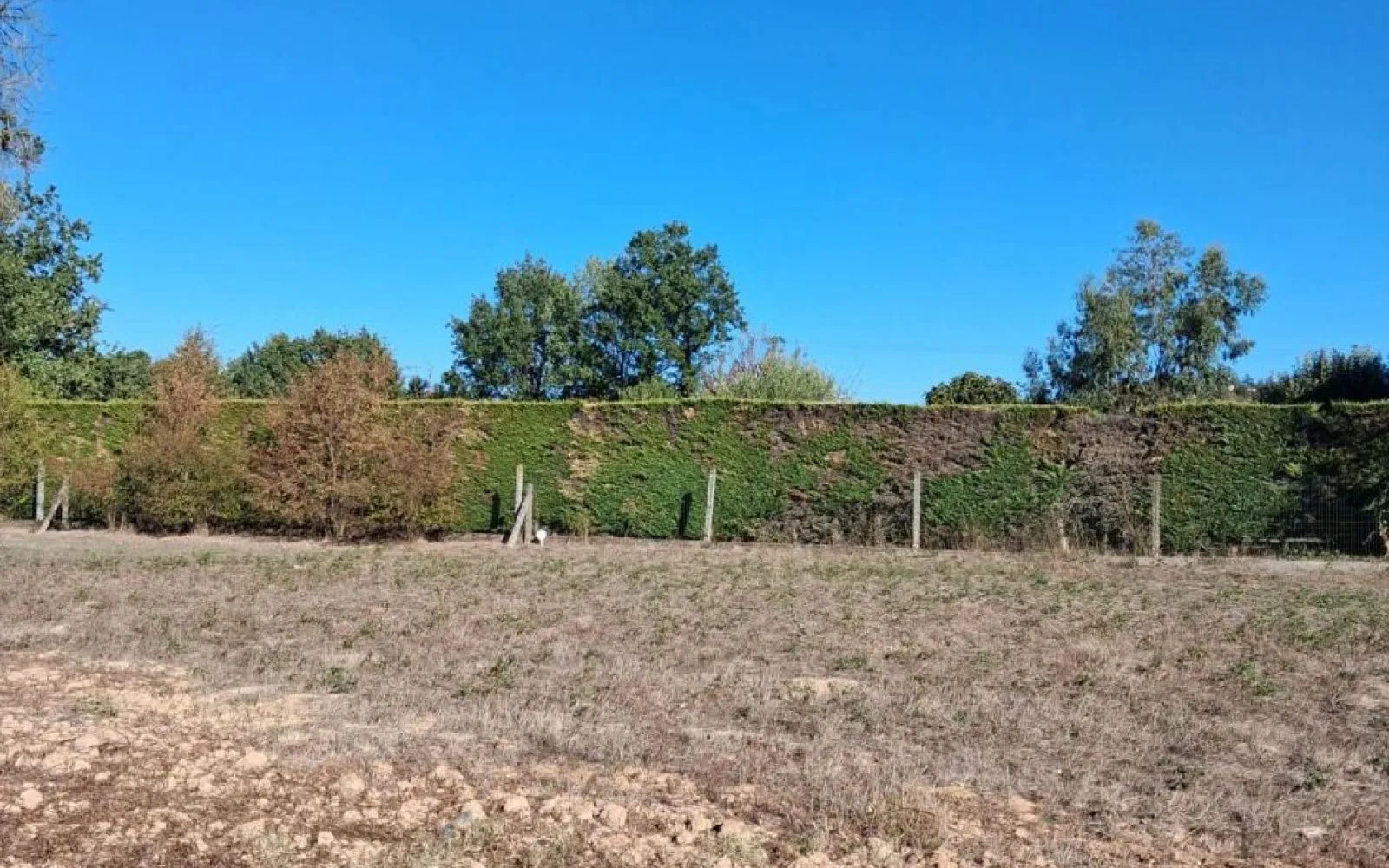 Projet de construction d'une maison 87 m² avec terrain à ALBI (81) à Albi — photo 6