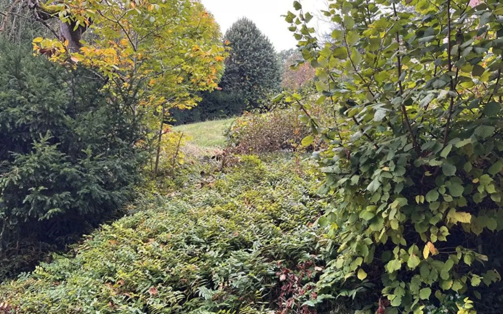 Terrain à bâtir de 800 m² à VULAINES-SUR-SEINE (77) à Vulaines-sur-Seine — photo 1