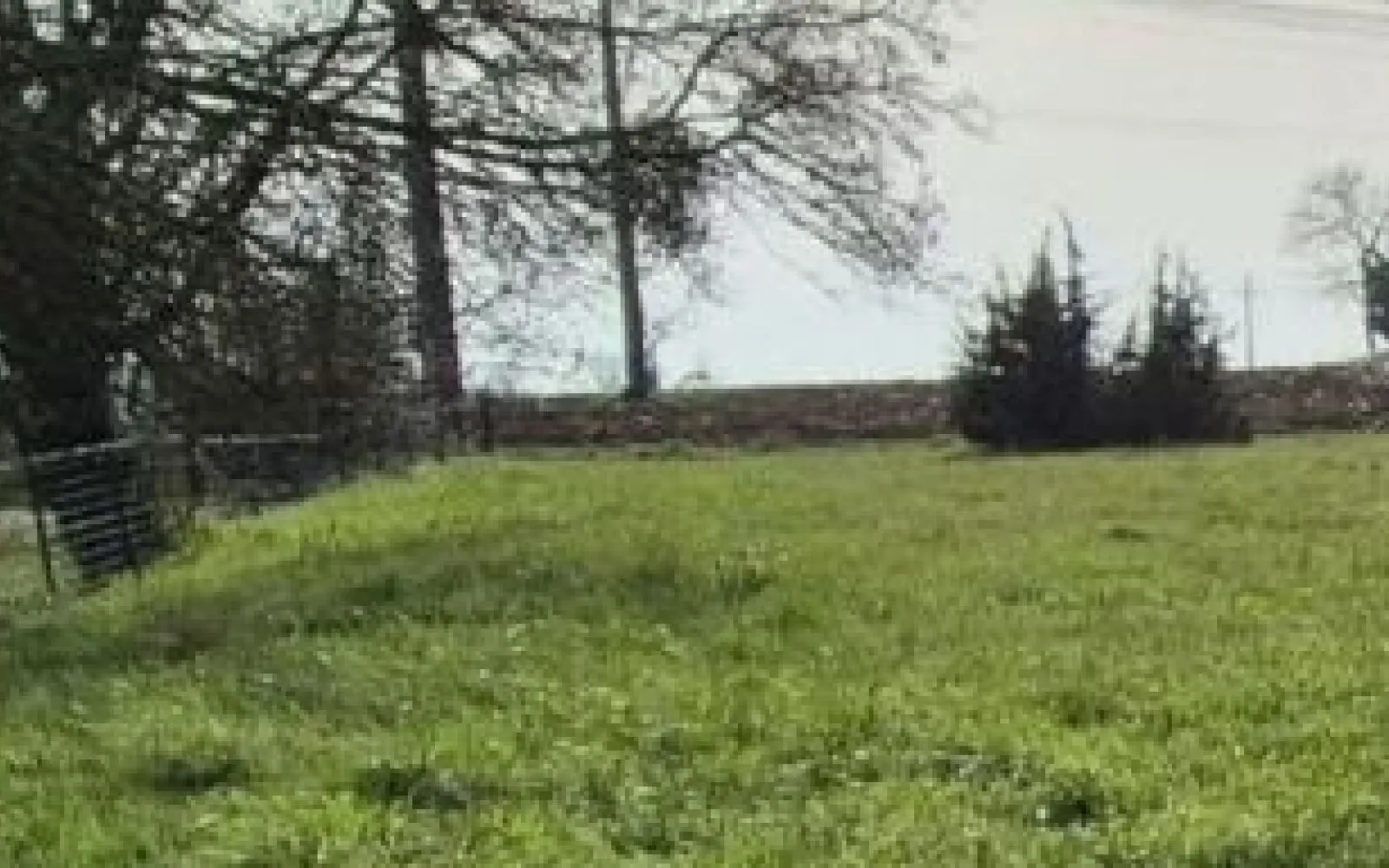 Projet de construction d'une maison 75 m² avec terrain à PONT-DE-VAUX (01) à Pont-de-Vaux — photo 6