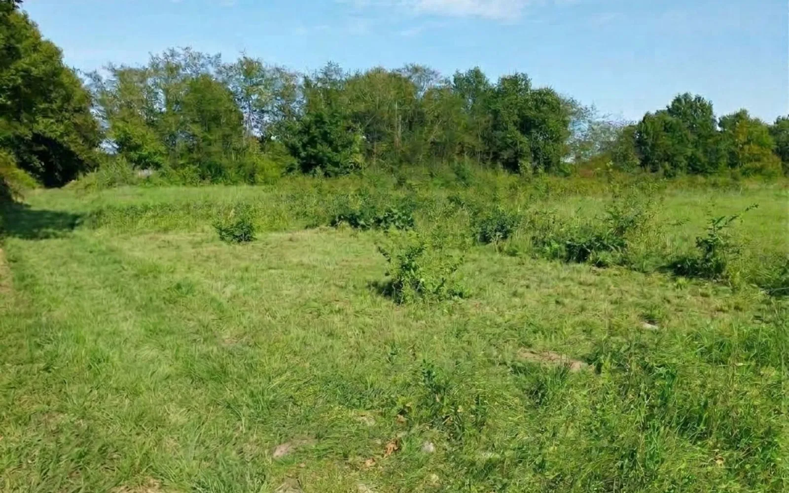 Projet de construction d'une maison 74 m² avec terrain à SAINT-ETIENNE-DE-TULMONT (82) au prix de 208694€. à Saint-Étienne-de-Tulmont — photo 5