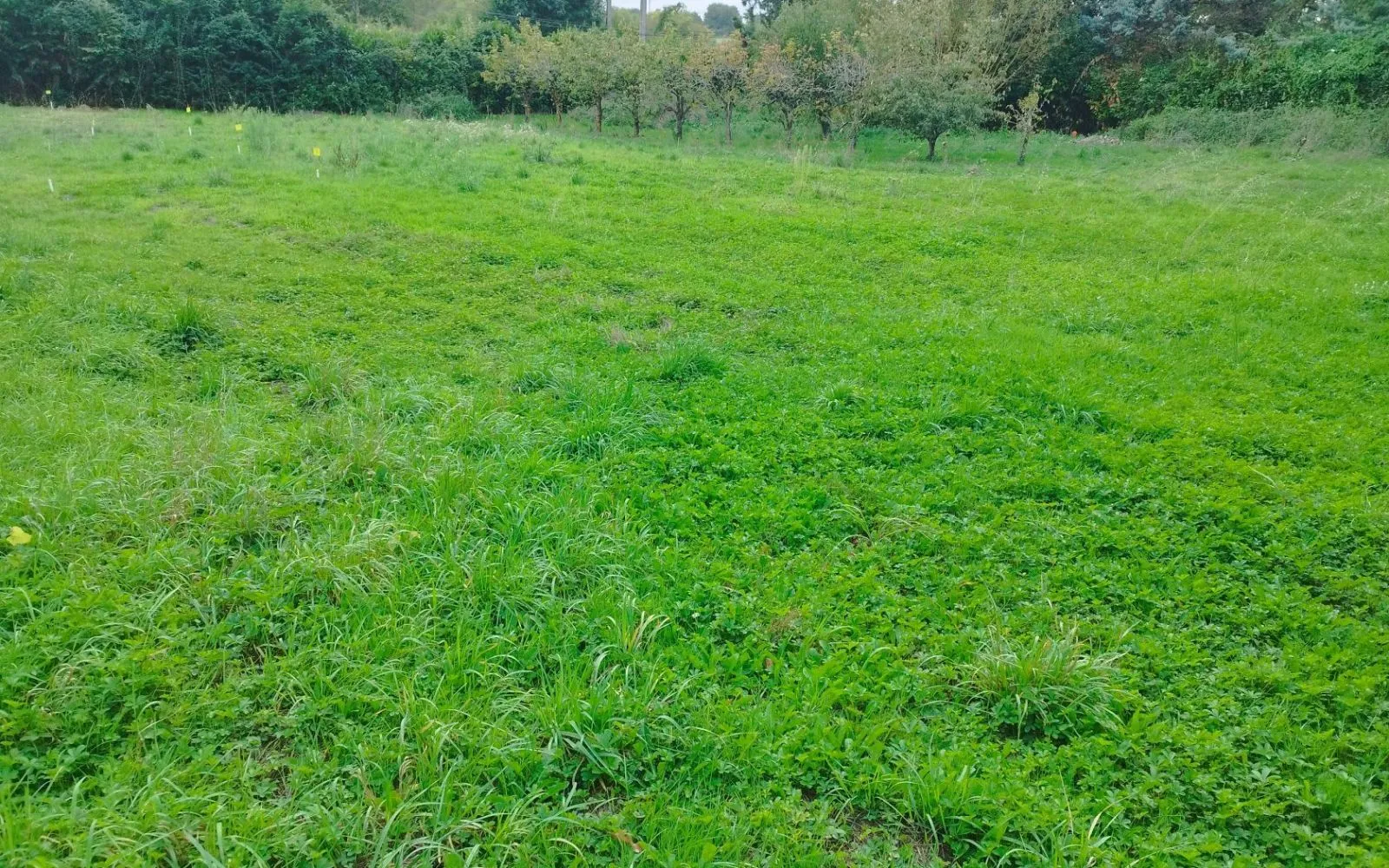 Terrain à bâtir de 543 m² à LA MEIGNANNE (49) à La Meignanne — photo 2