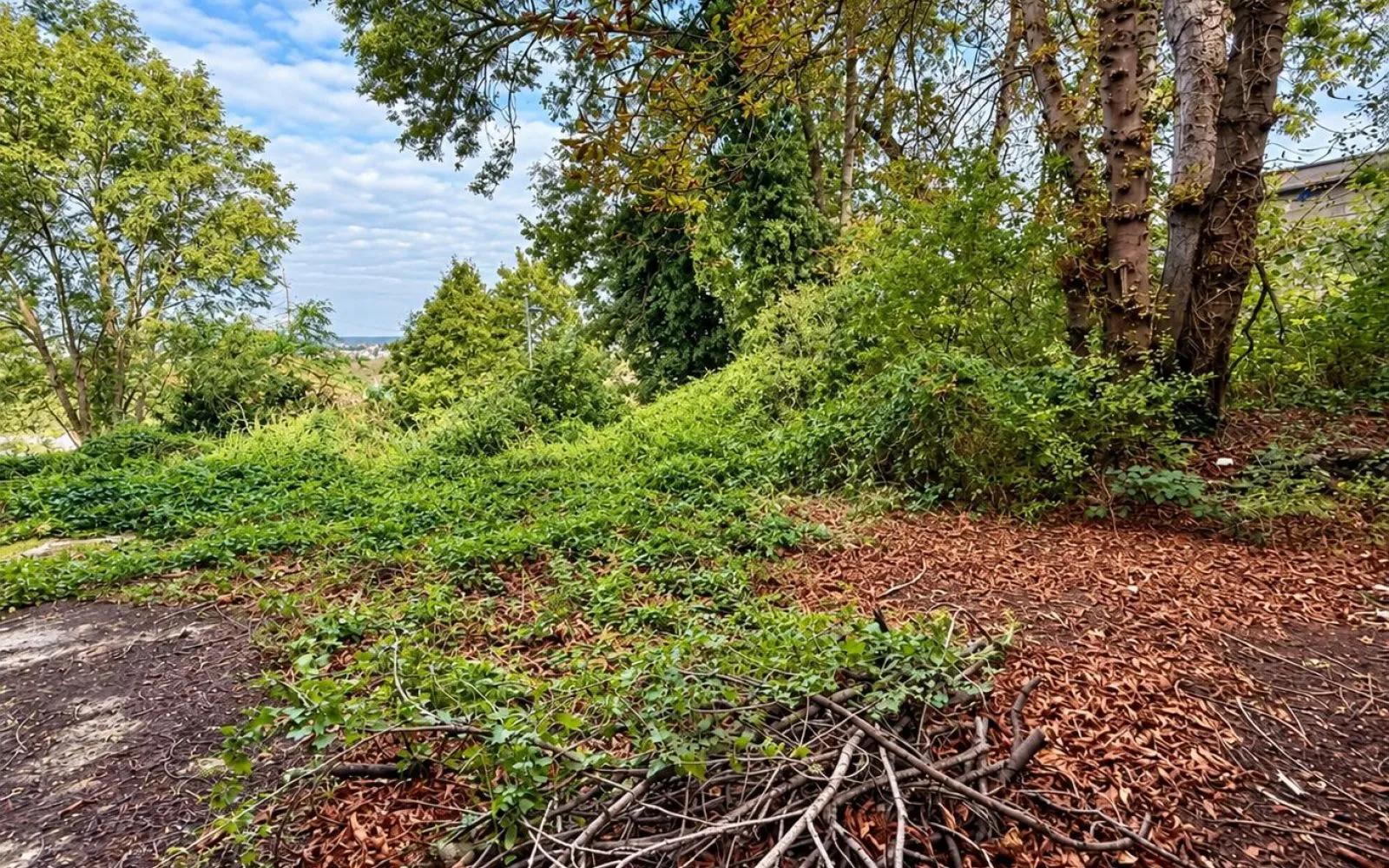 Projet de construction d'une maison 110 m² avec terrain à CHENNEVIERES-SUR-MARNE (94) à Chennevières-sur-Marne — photo 3