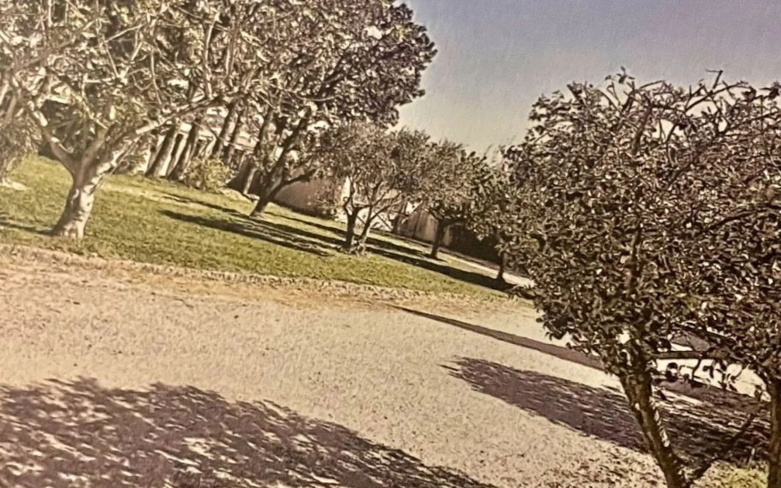 Terrain à bâtir de 500 m² à SENAS (13) à Sénas — photo 1