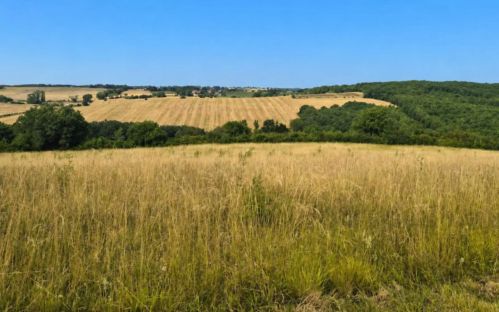 Projet de construction d'une maison 100 m² avec terrain à MONTJOIRE (31) à Montjoire — photo 6