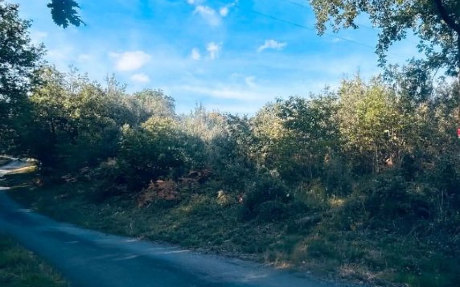 Projet de construction d'une maison 80 m² avec terrain à CARSAC-AILLAC (24) à Carsac-Aillac — photo 11
