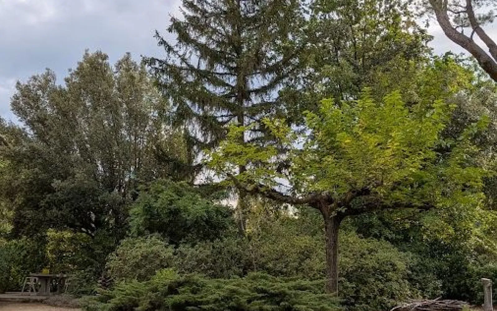 Terrain à bâtir de 1120 m² à SAINT-DIDIER (84) à Saint-Didier — photo 6