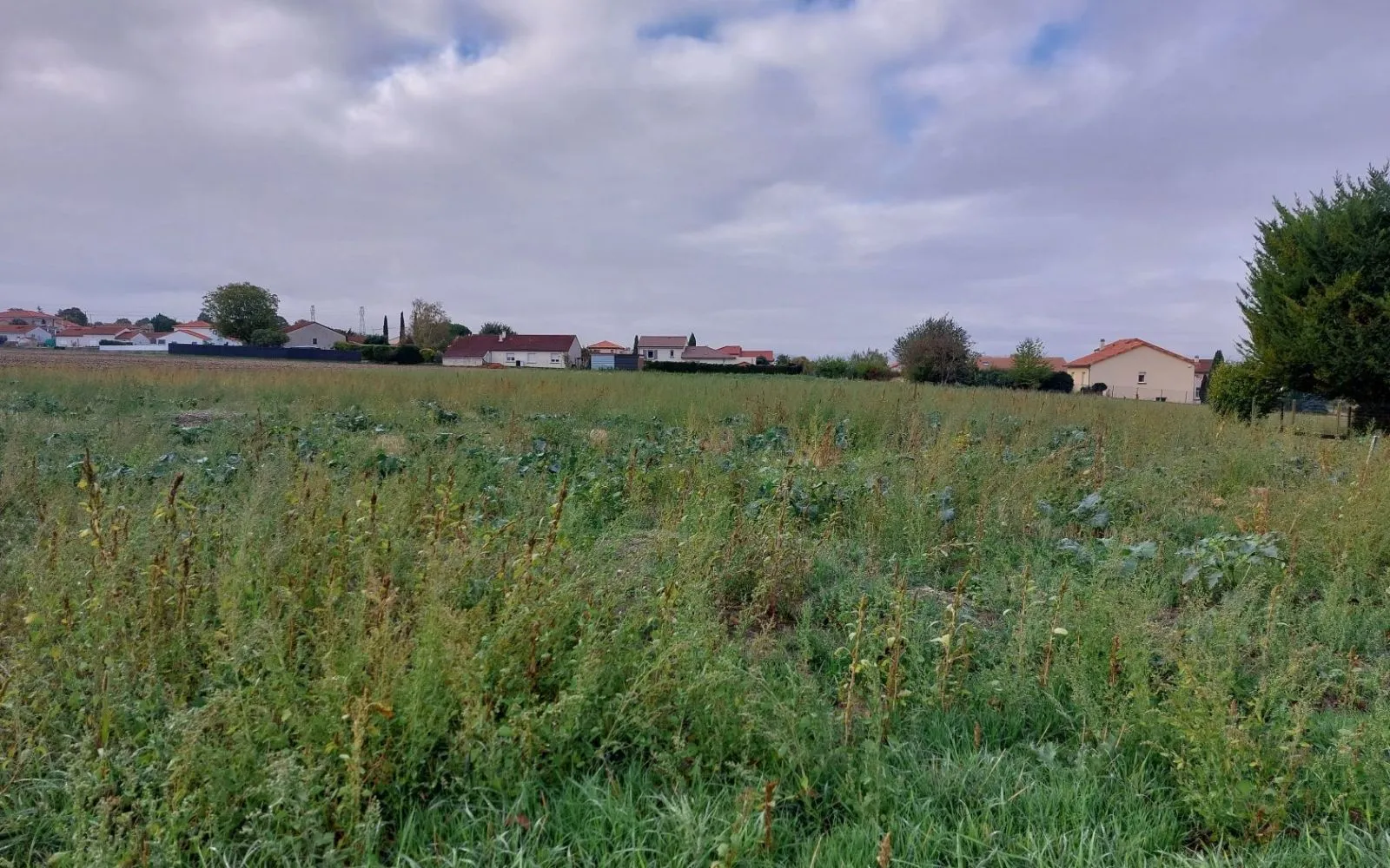 Projet de construction d'une maison 131 m² avec terrain à LES MARTRES-D'ARTIERE (63) à Martres-d'Artière — photo 11