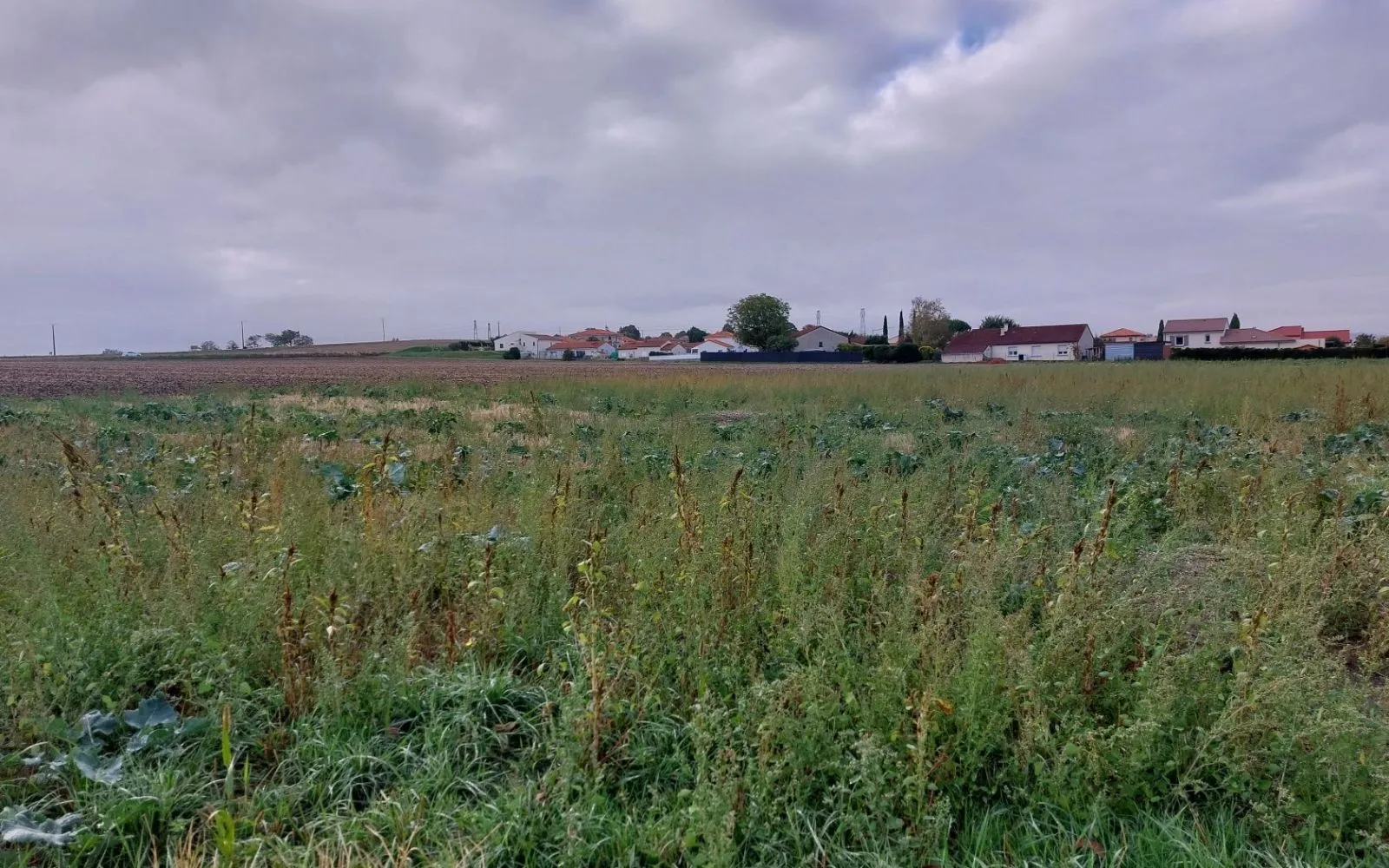 Projet de construction d'une maison 131 m² avec terrain à LES MARTRES-D'ARTIERE (63) à Martres-d'Artière — photo 13