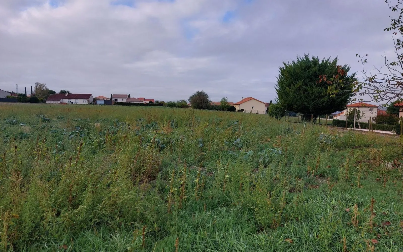 Projet de construction d'une maison 131 m² avec terrain à LES MARTRES-D'ARTIERE (63) à Martres-d'Artière — photo 14