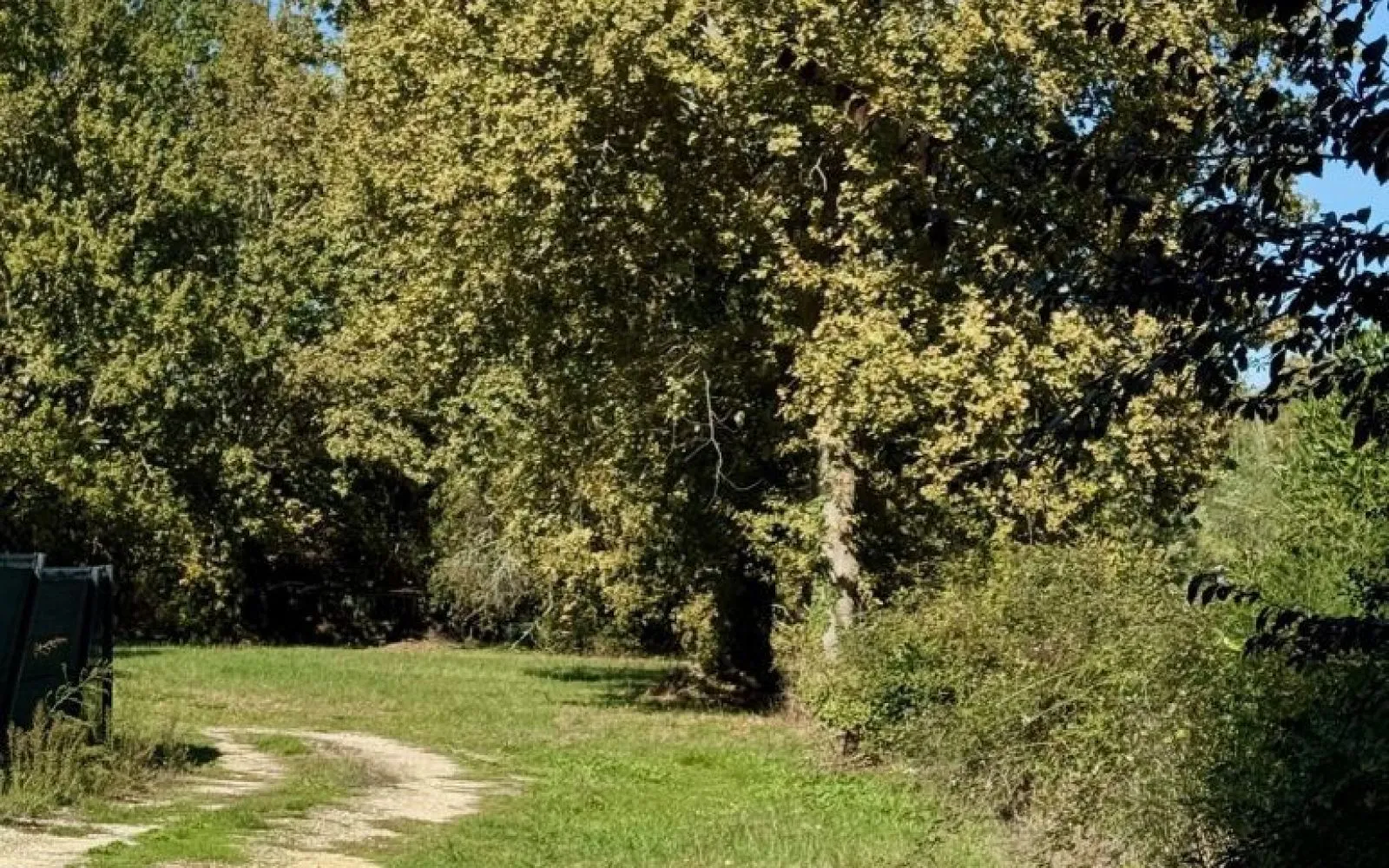 Terrain à bâtir de 580 m² à MOULIS-EN-MEDOC (33) à Moulis-en-Médoc — photo 1