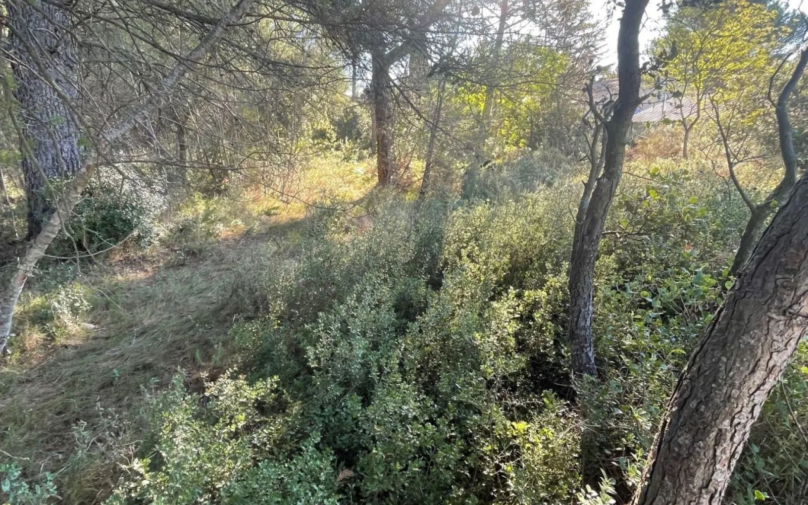 Terrain à bâtir de 527 m² à LAMBESC (13) à Lambesc — photo 2