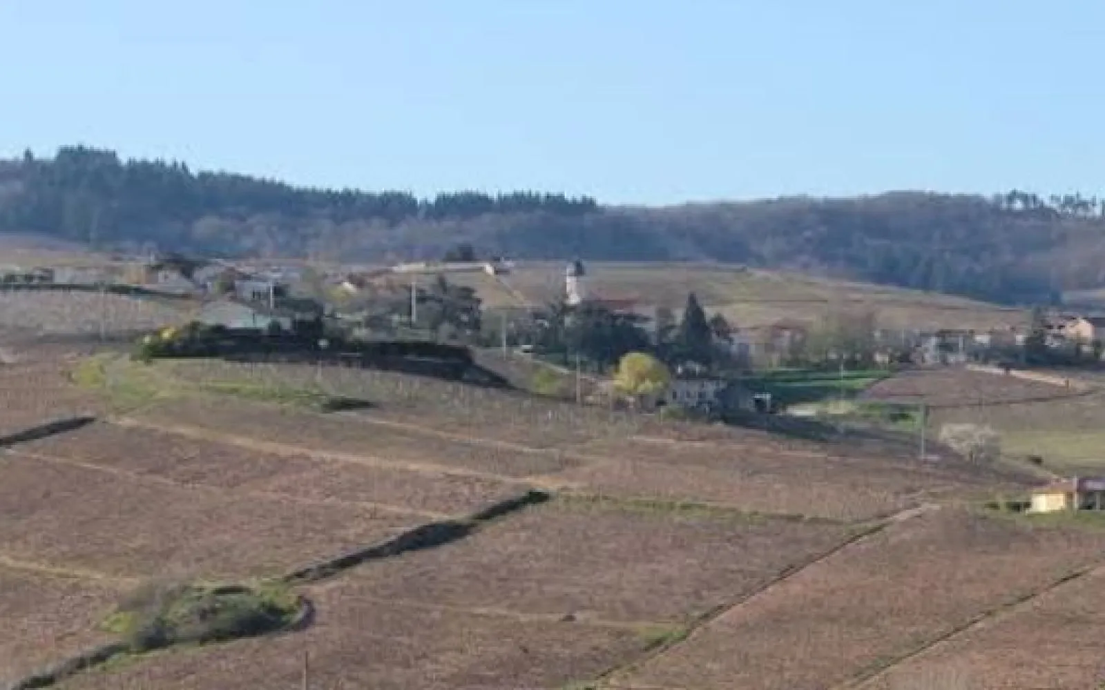 Projet de construction d'une maison 98 m² avec terrain à CHIROUBLES (69) à Chiroubles — photo 6