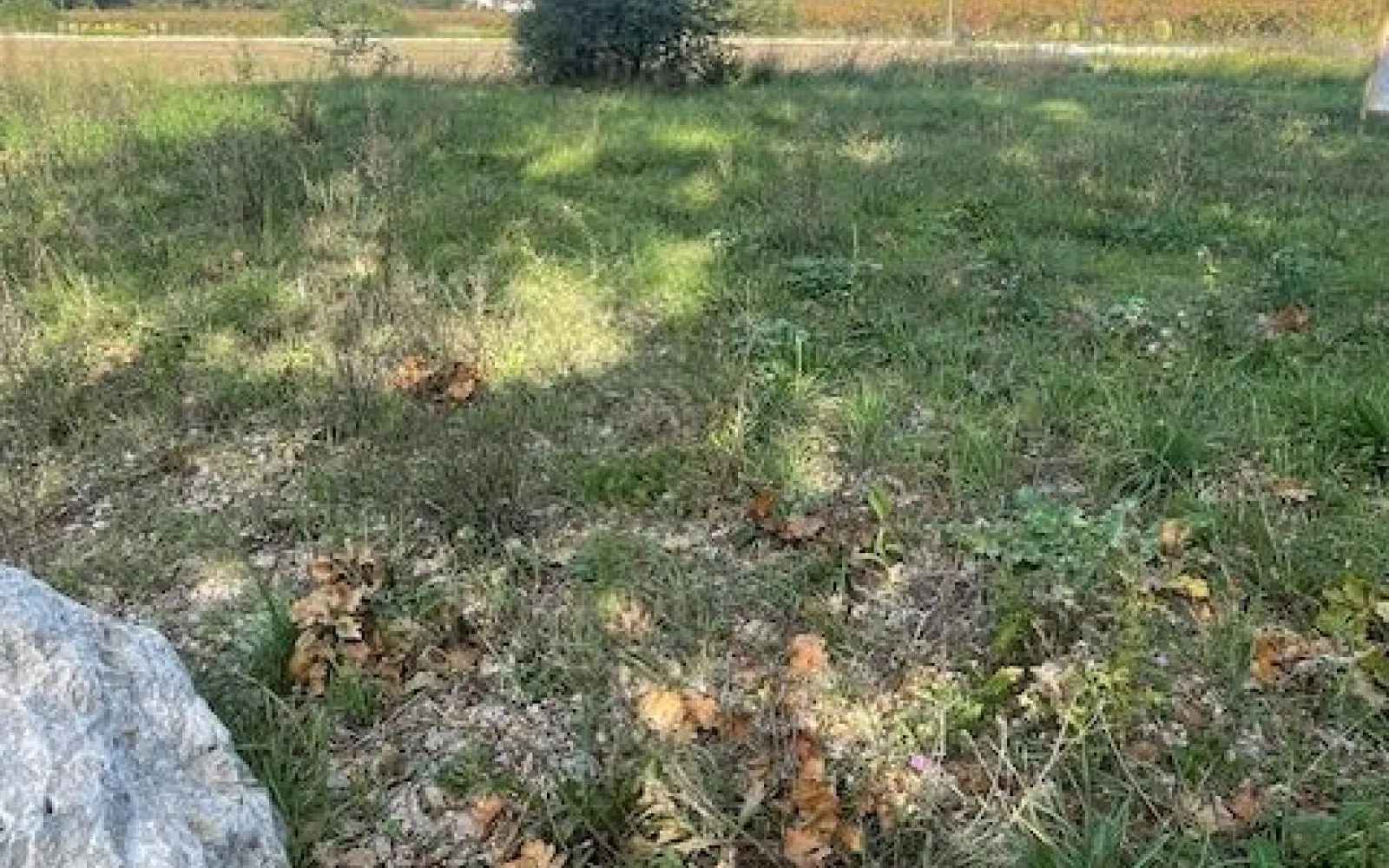 Terrain à bâtir de 551 m² à ALLEINS (13) à Alleins — photo 2