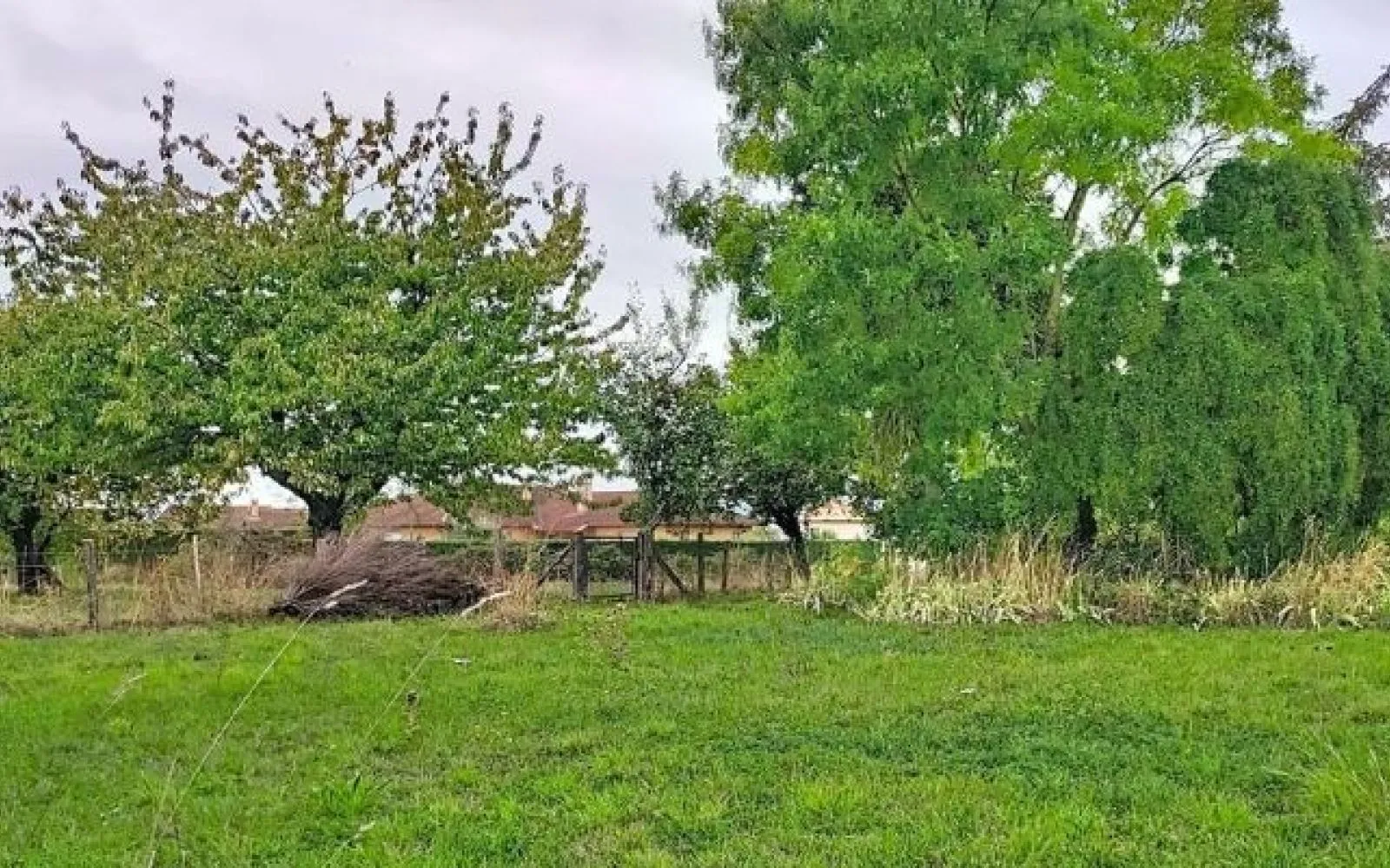 Projet de construction d'une maison 60 m² avec terrain à VILLENEUVE (01) à Villeneuve — photo 6