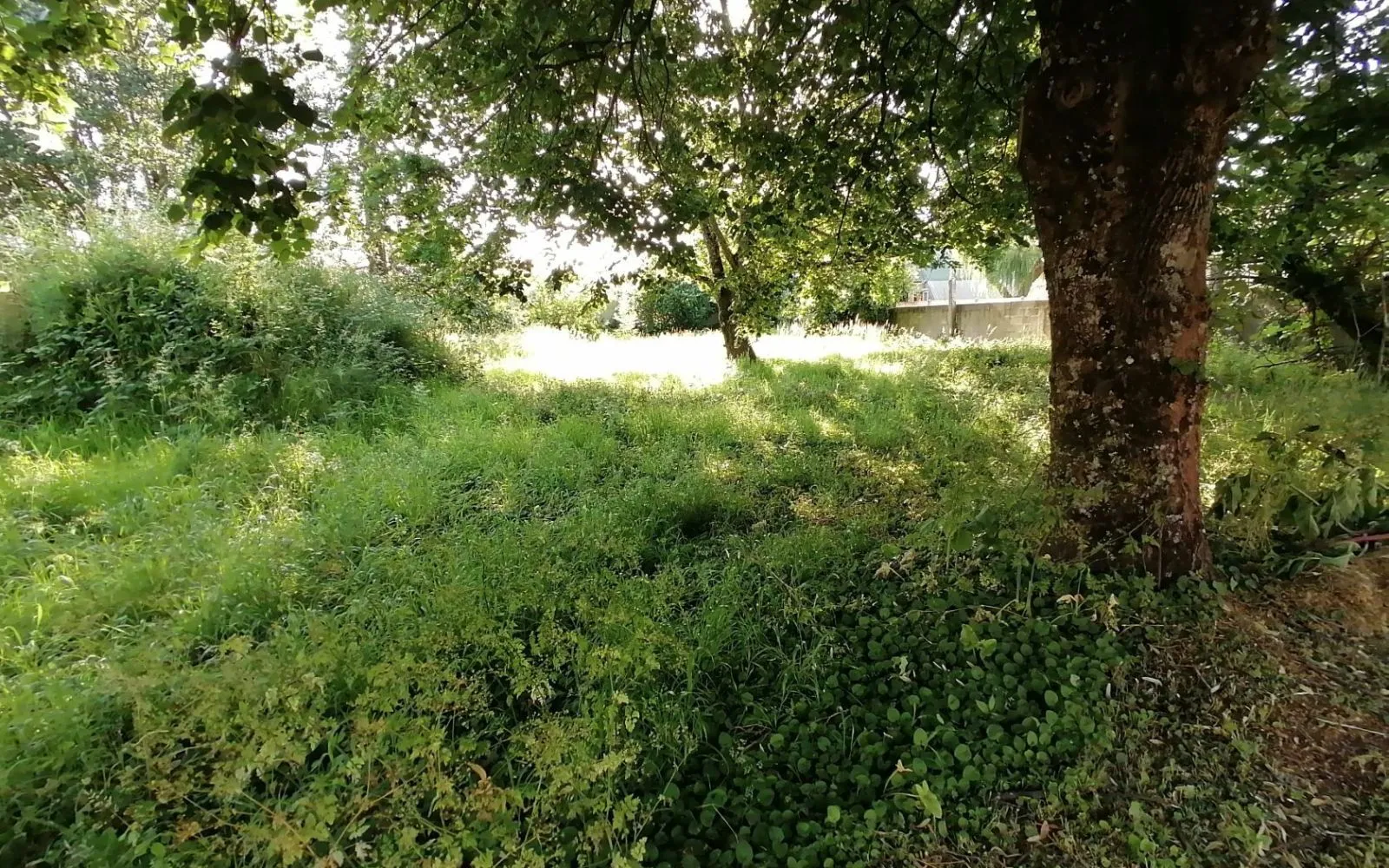 Projet de construction d'une maison 95 m² avec terrain à SAINT-GEORGES-DE-DIDONNE (17) à Saint-Georges-de-Didonne — photo 3